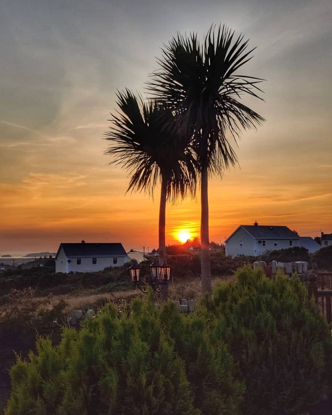 Sunset from Costa Del Donegal

Gaoth Dobhair 💚🤍.

📸 @michaeladonegan_
.

.#Repost @michaeladonegan_
#gweedore #gaothdobhair #gaeltacht #sunset #cloudscape #palmtrees #sunsetphotography #wildatlanticway #donegal #waw #donegalpage #wanderireland #di