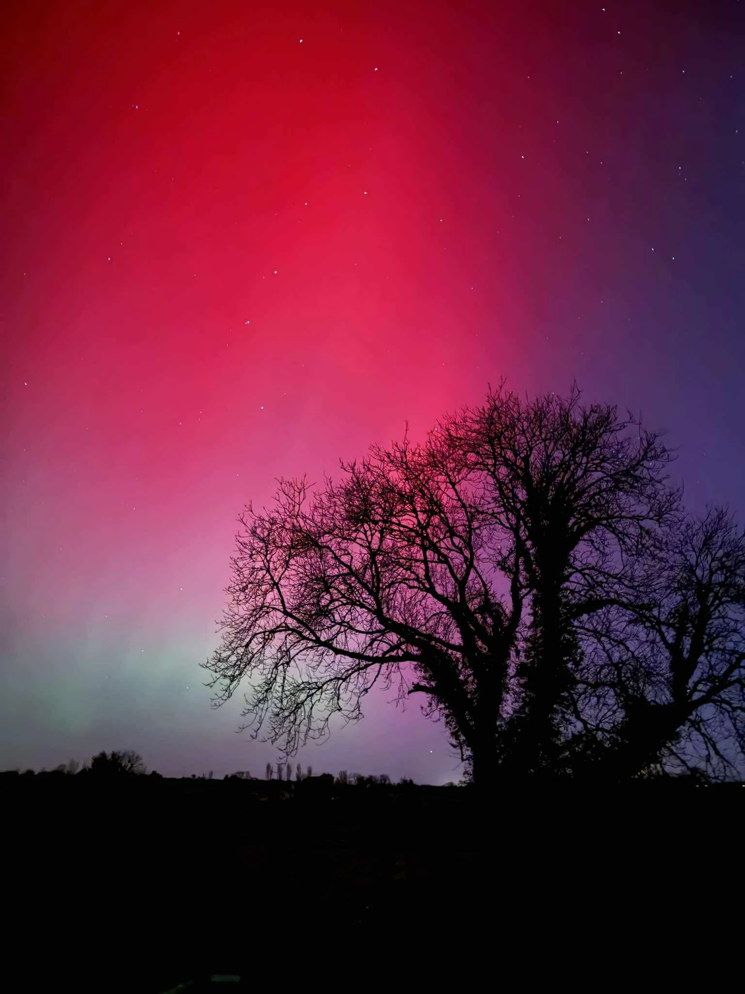 The beautiful Aurora from, Co Longford this morning .

Photo by Helen Feeney