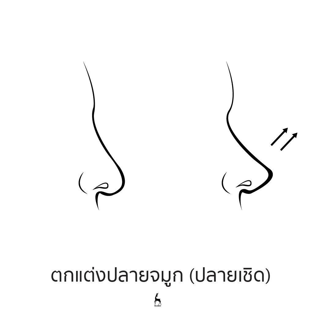 ตกแต่งปลายจมูก (ปลายเชิด).jpg