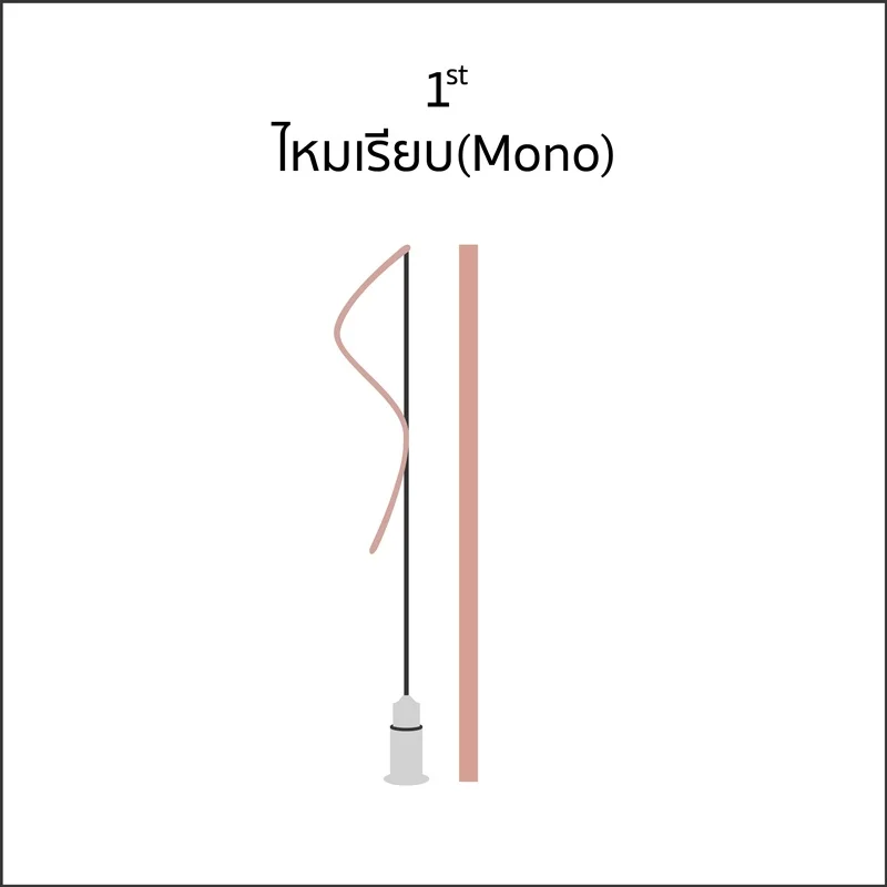 วิวัฒนาการของไหม-02.jpg