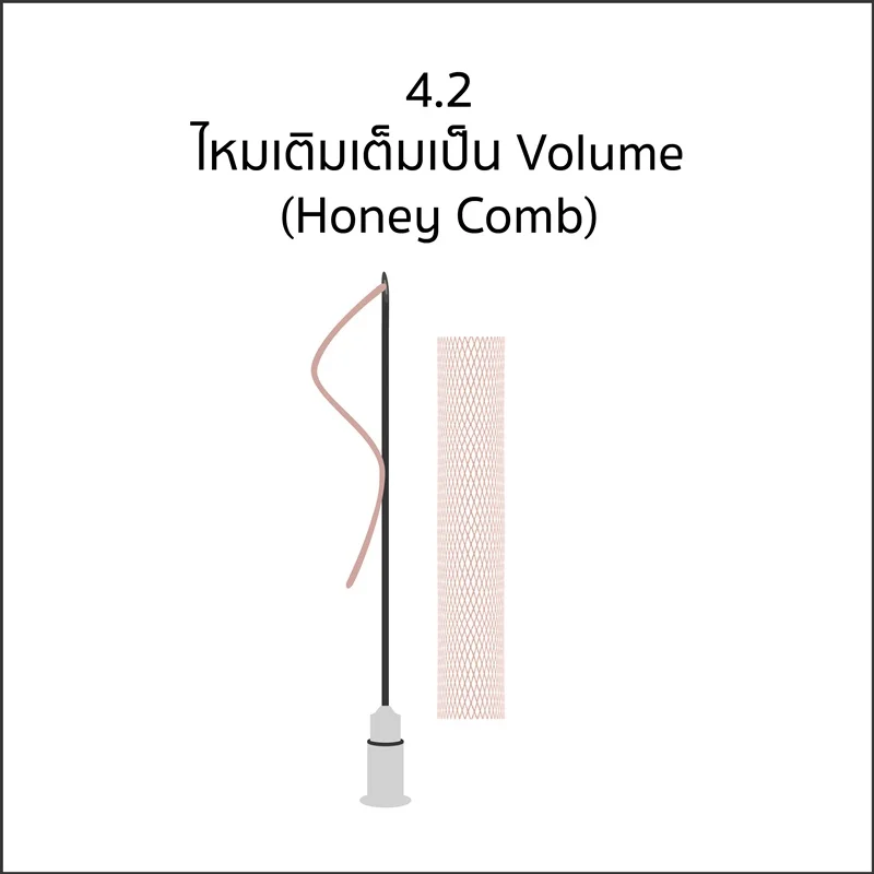 วิวัฒนาการของไหม-07.jpg