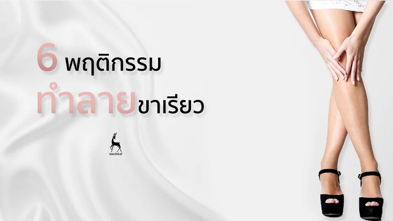 พฤติกรรมทำลายขาเรียว.jpg