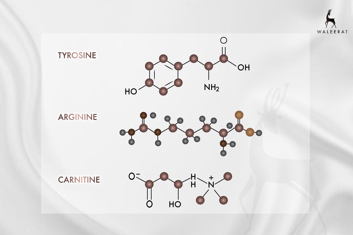Tyrosine.jpg