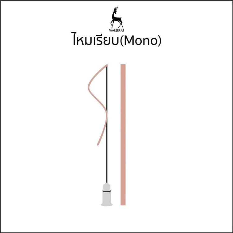 ไหมเรียบ02.jpg