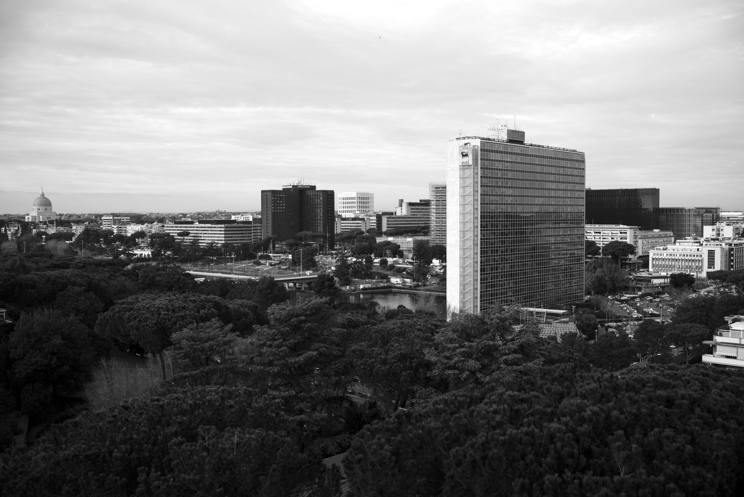 L1000401.jpg