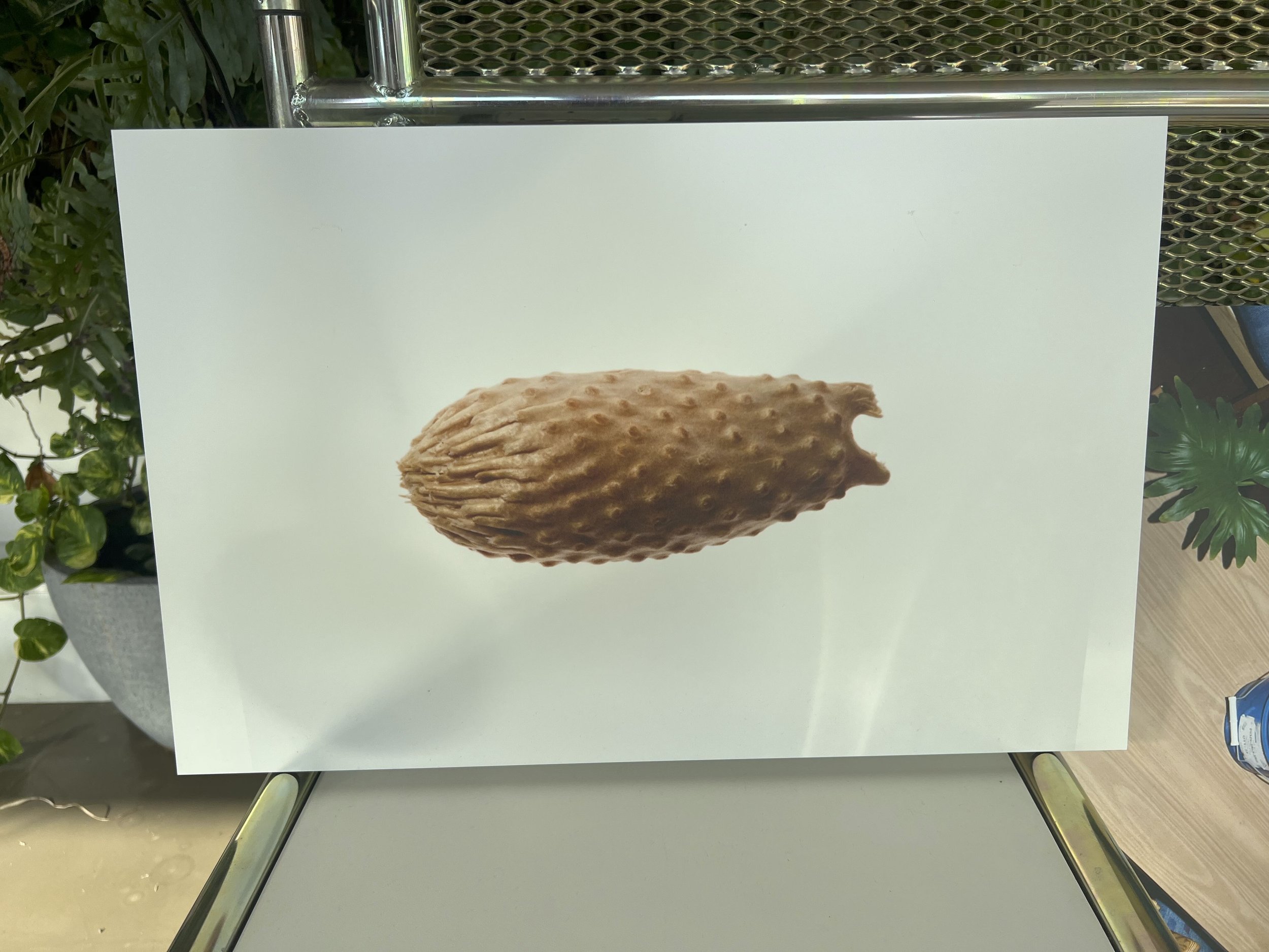 Library - 1 of 6.jpeg