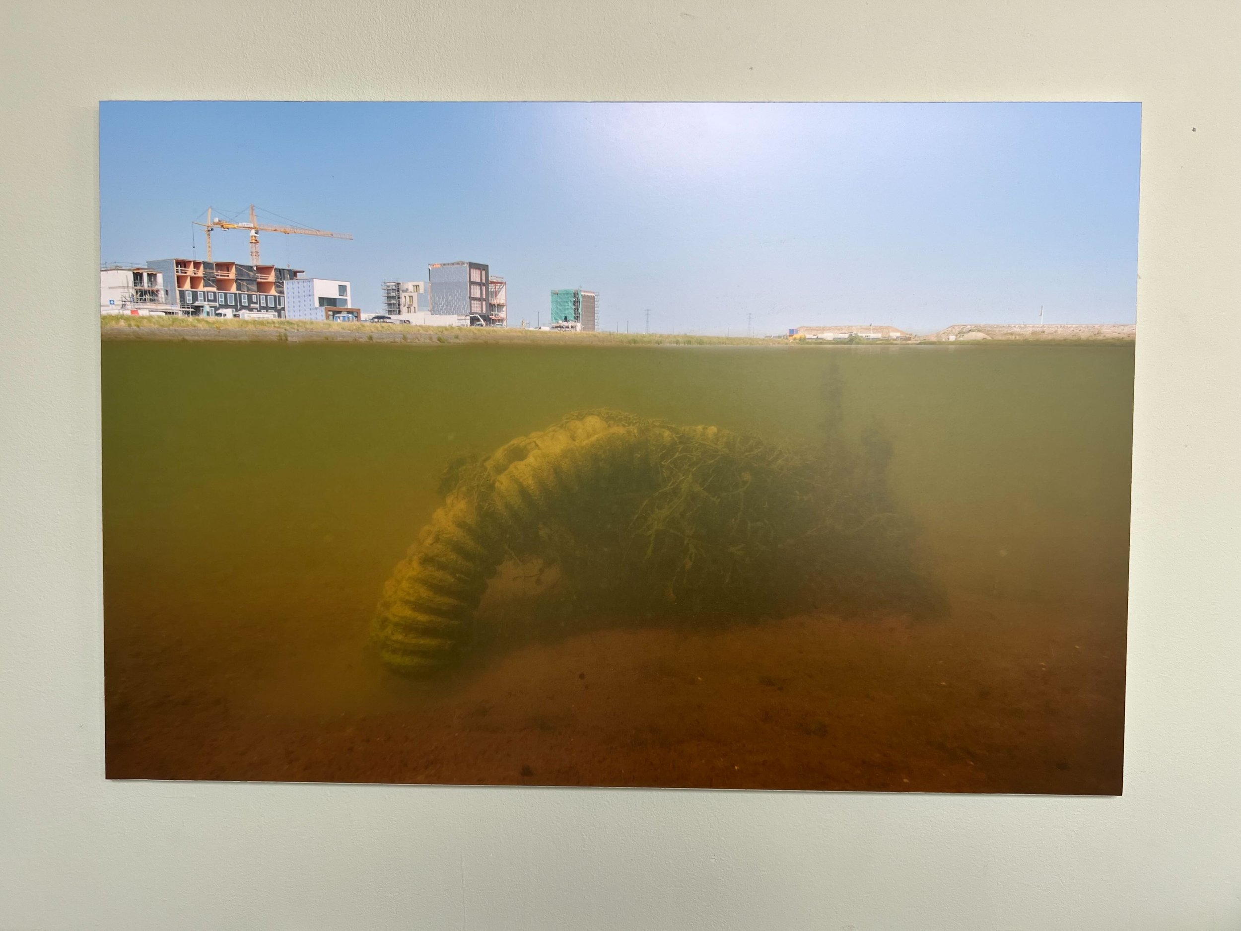 Library - 3 of 18.jpeg