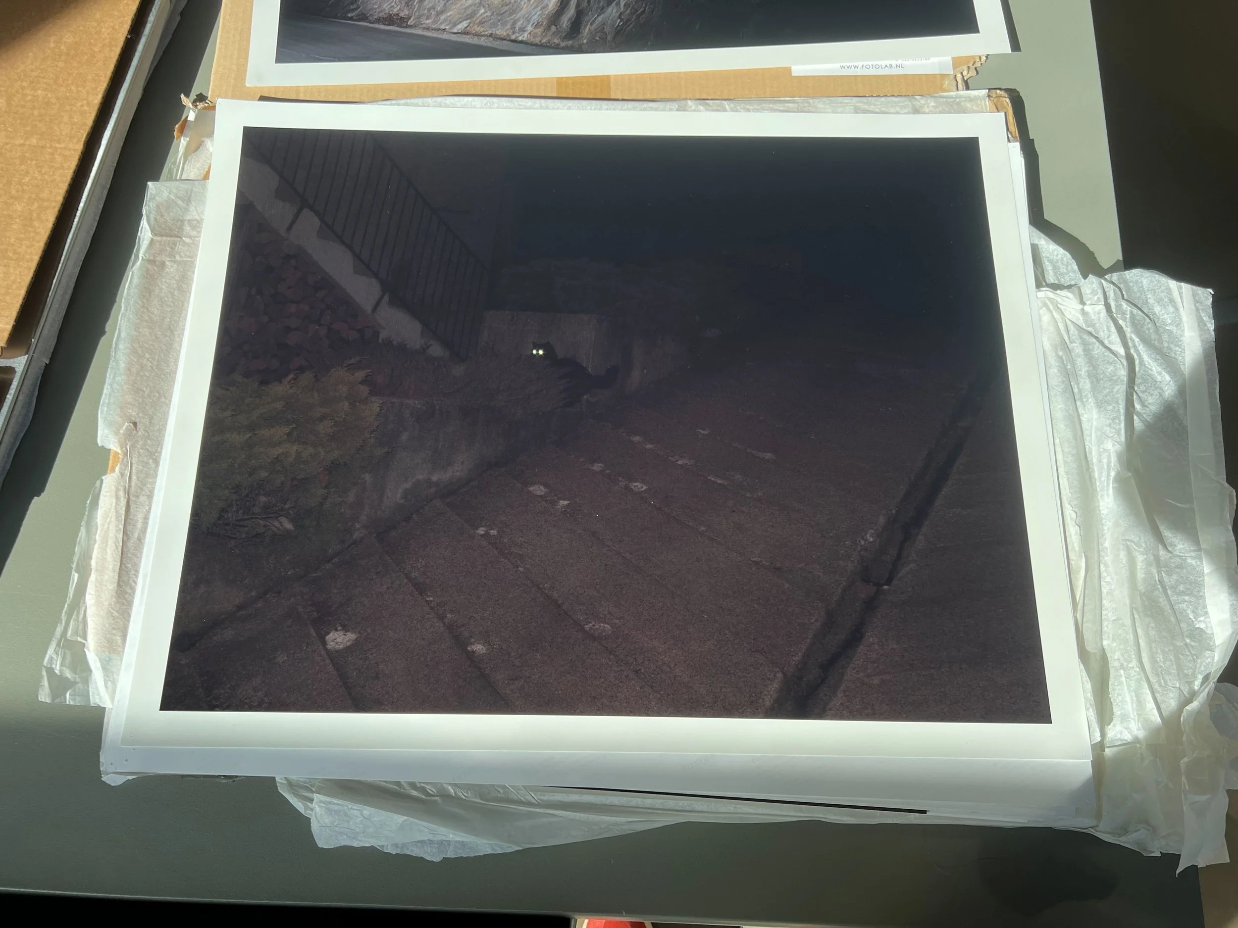 Library - 3 of 31.jpeg