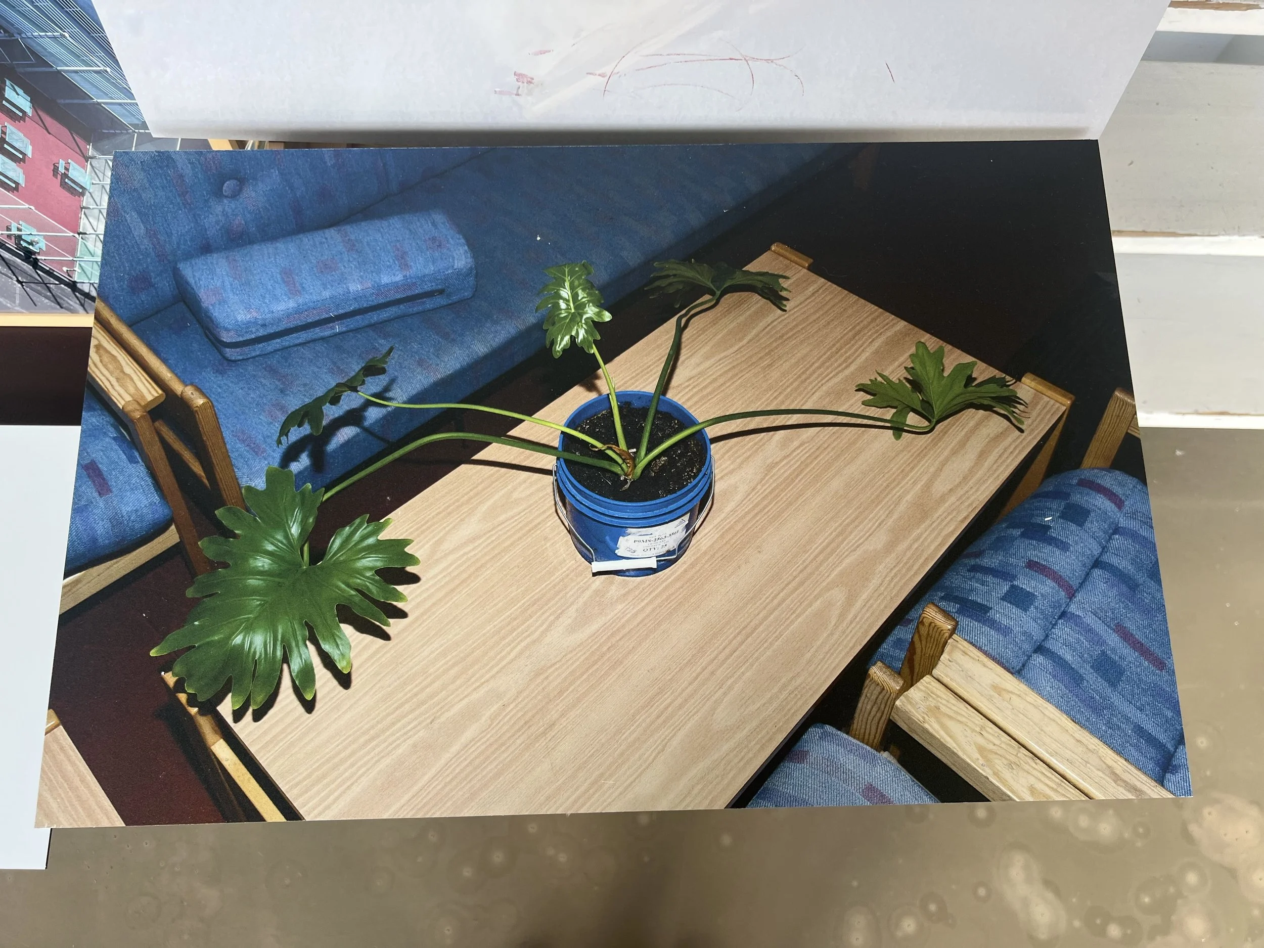 Library - 4 of 6.jpeg