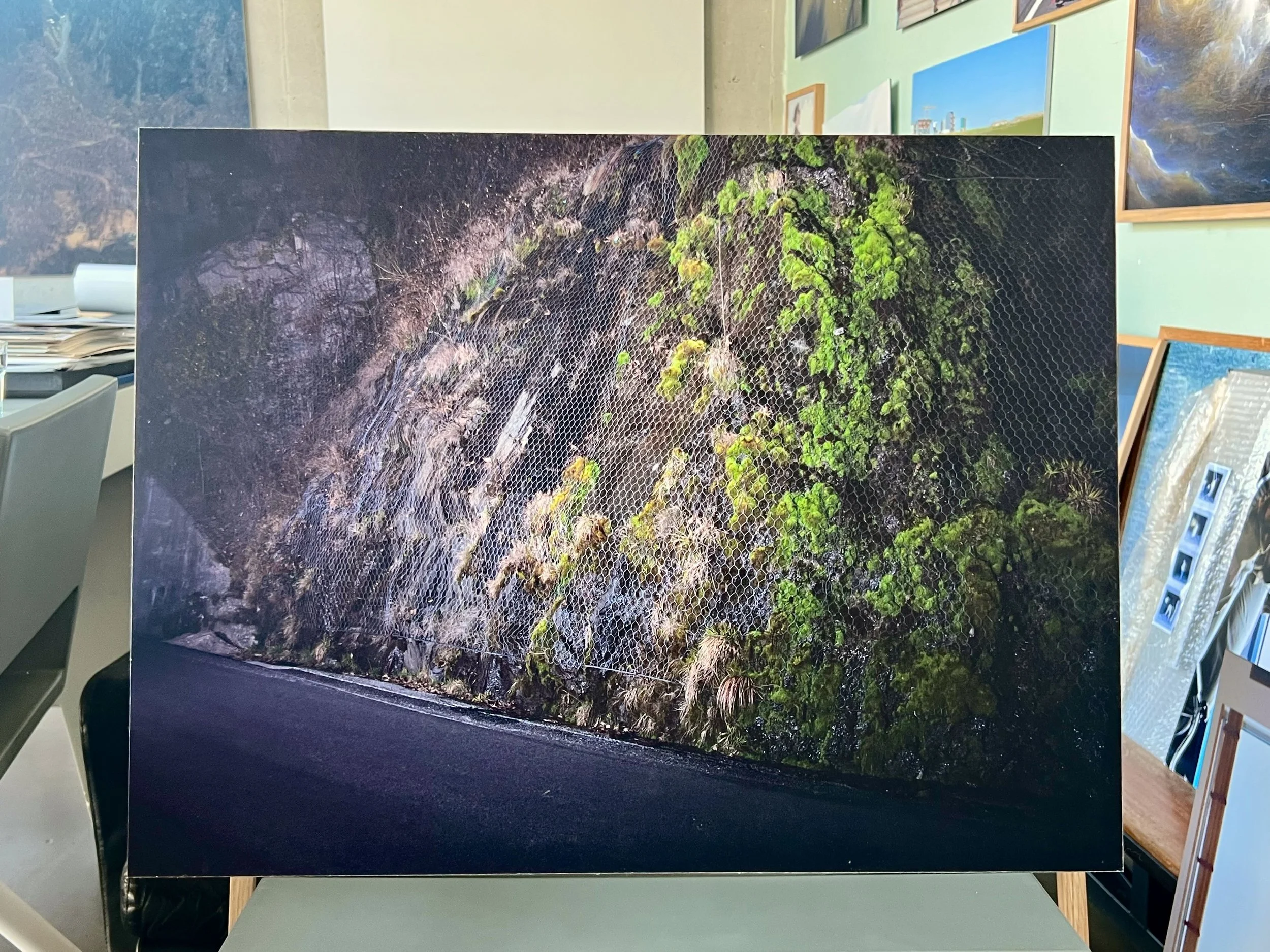 Library - 4 of 5.jpeg