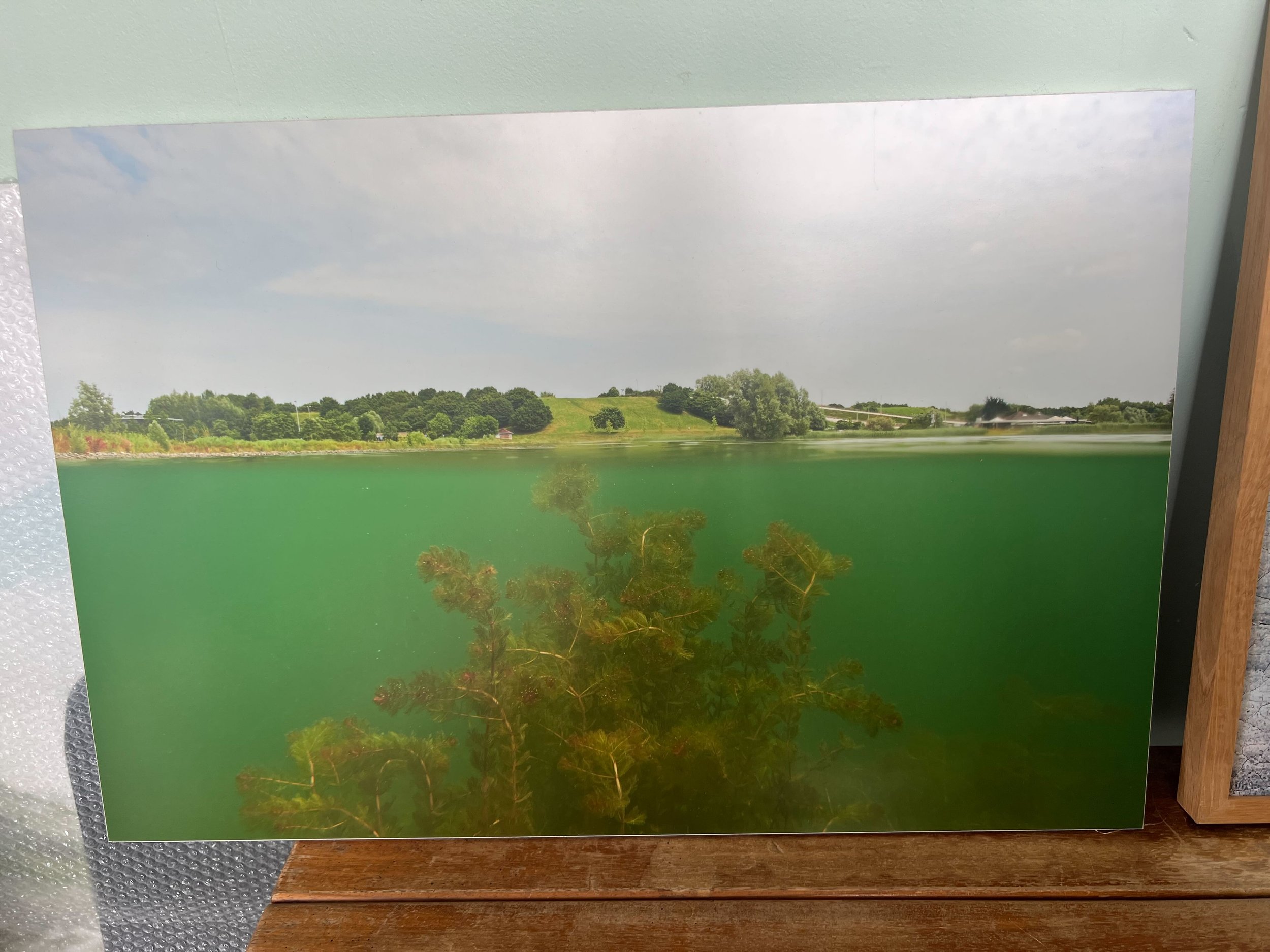 Library - 4 of 18.jpeg