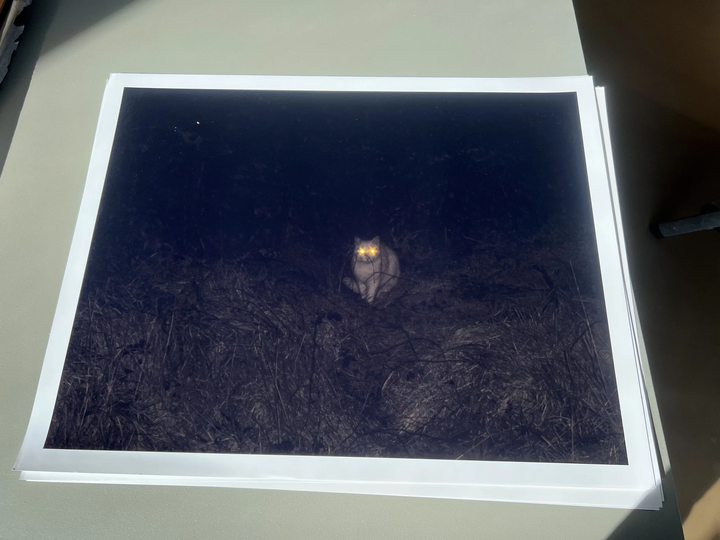 Library - 4 of 31.jpeg