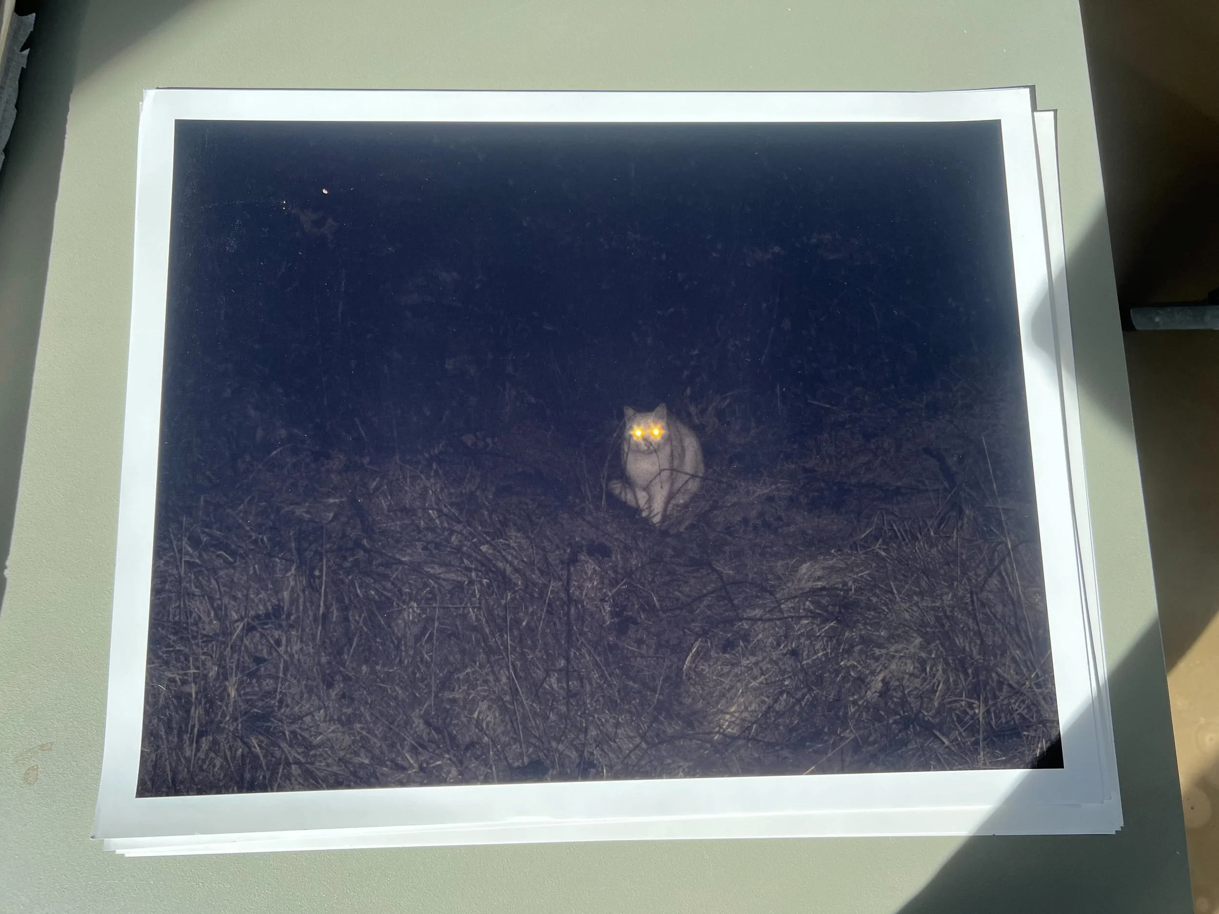 Library - 6 of 31.jpeg