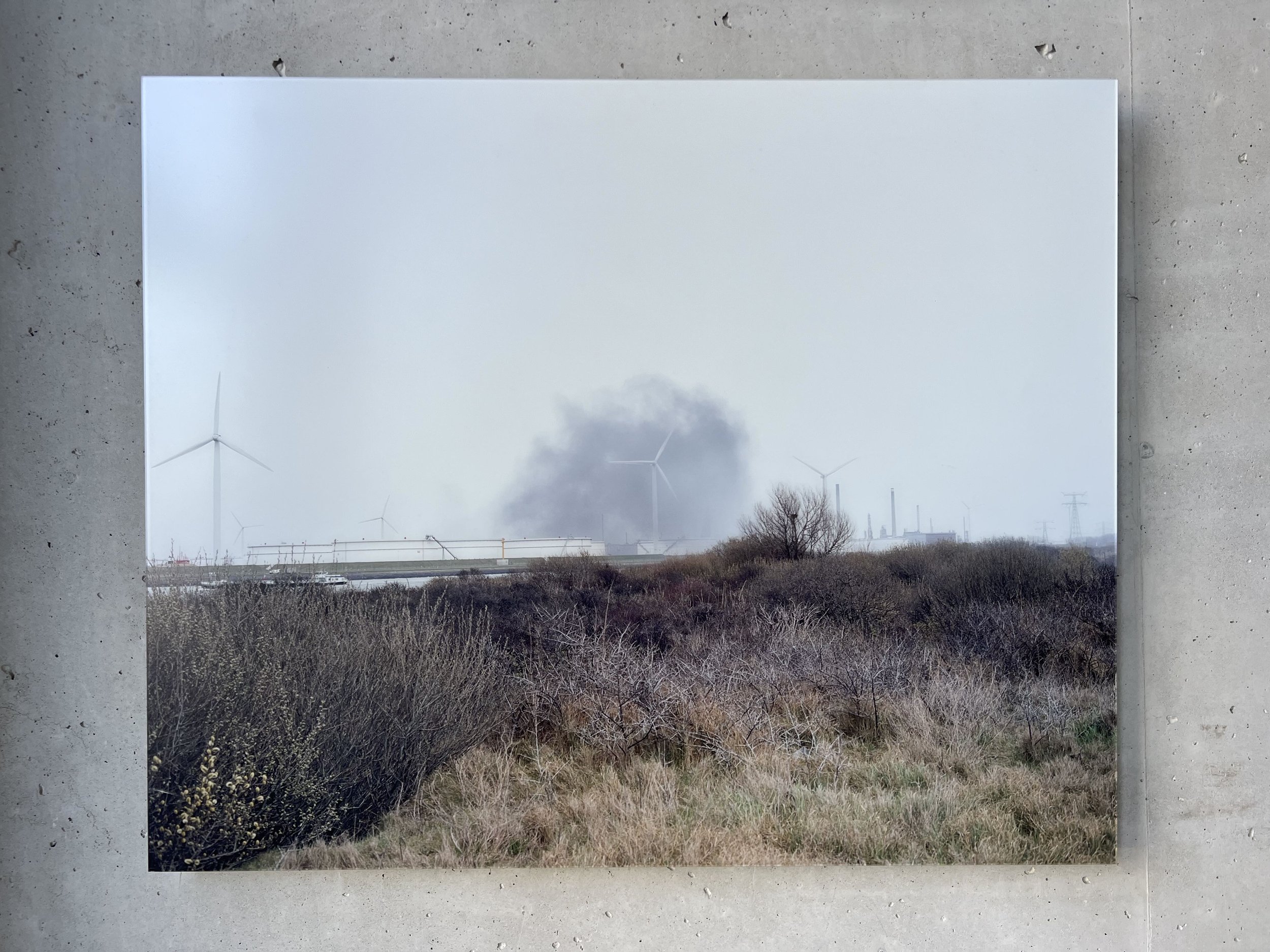 Library - 7 of 17.jpeg