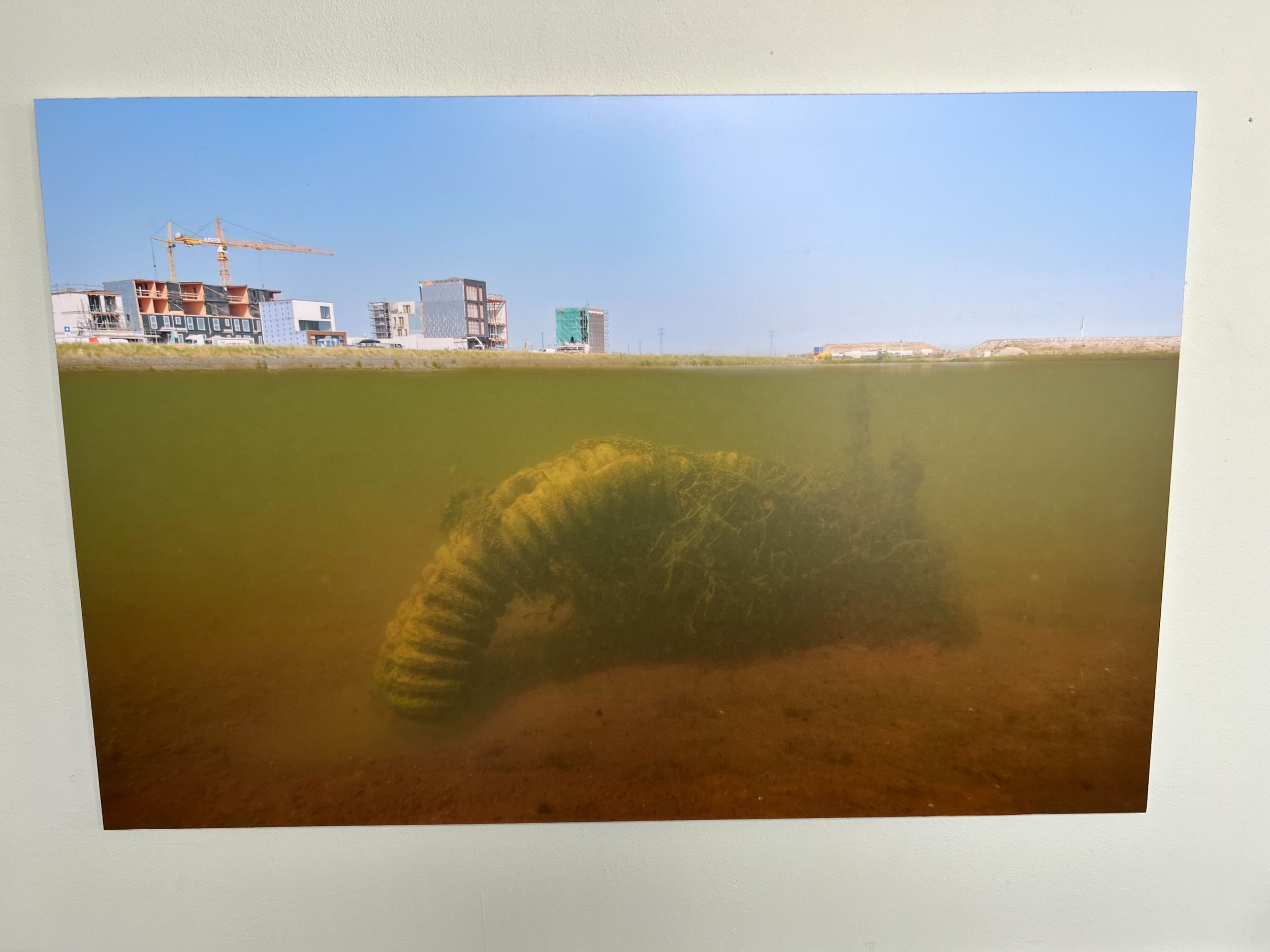 Library - 7 of 18.jpeg