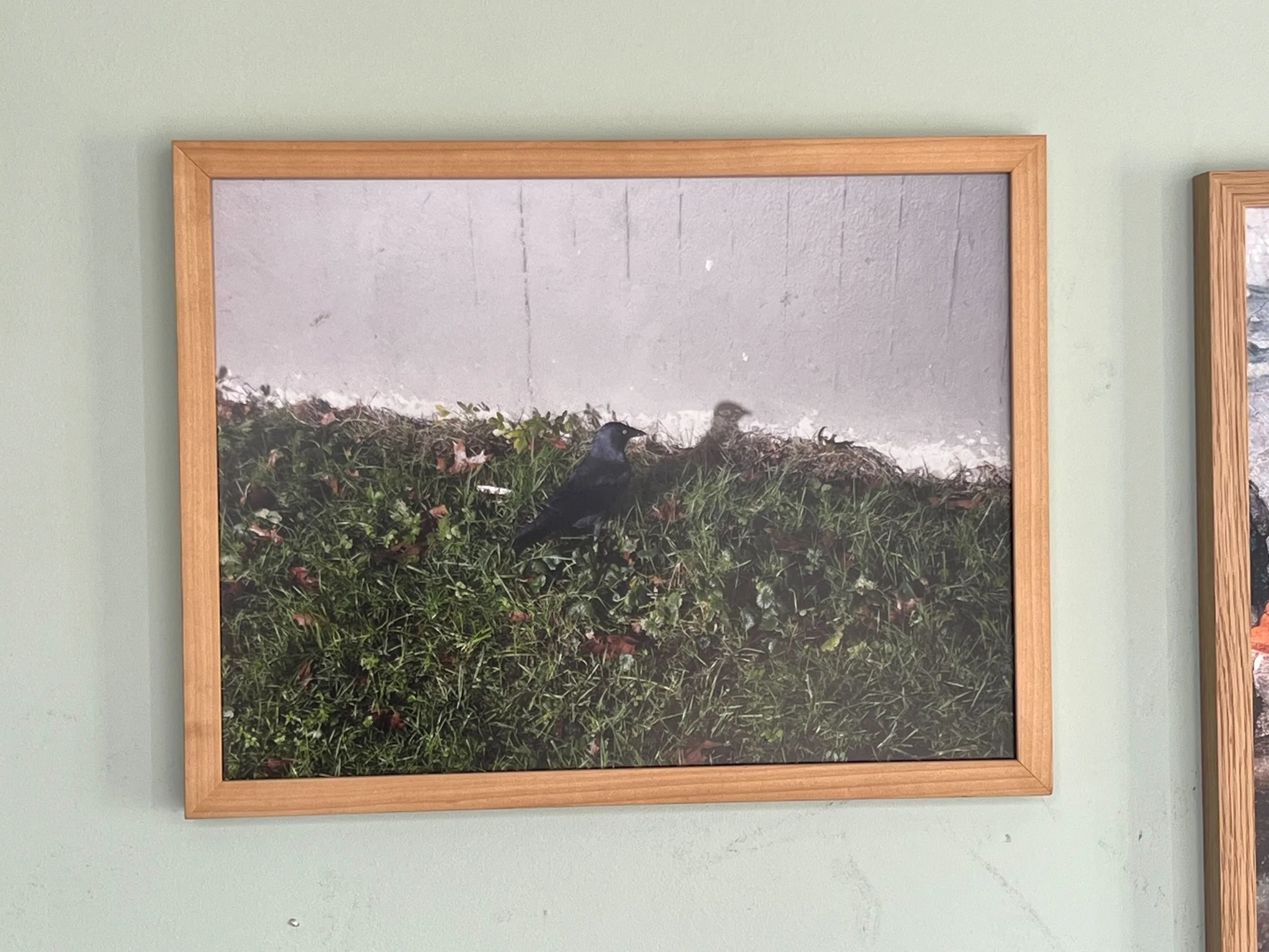 Library - 9 of 18.jpeg