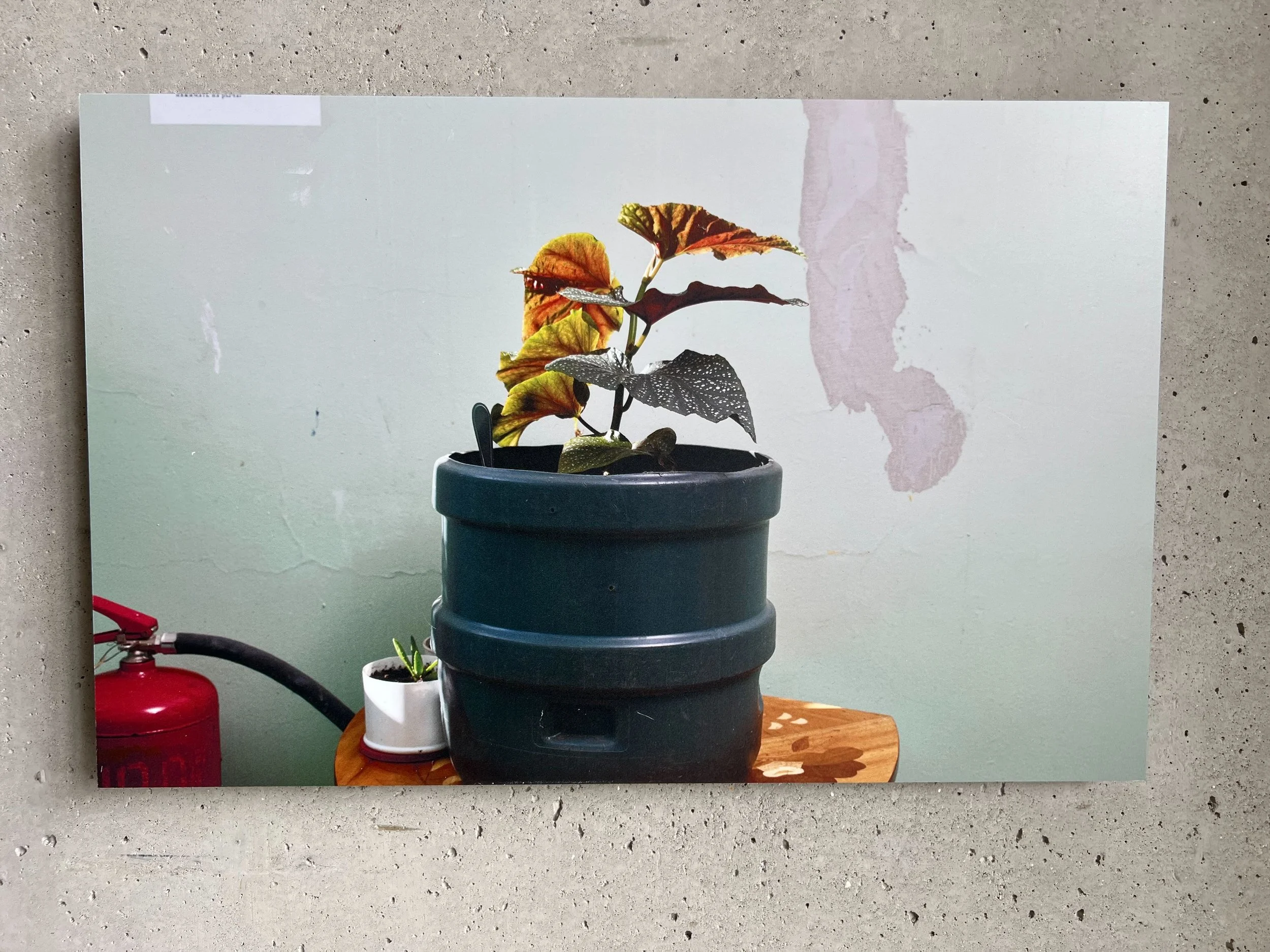 Places - 30 of 89.jpeg