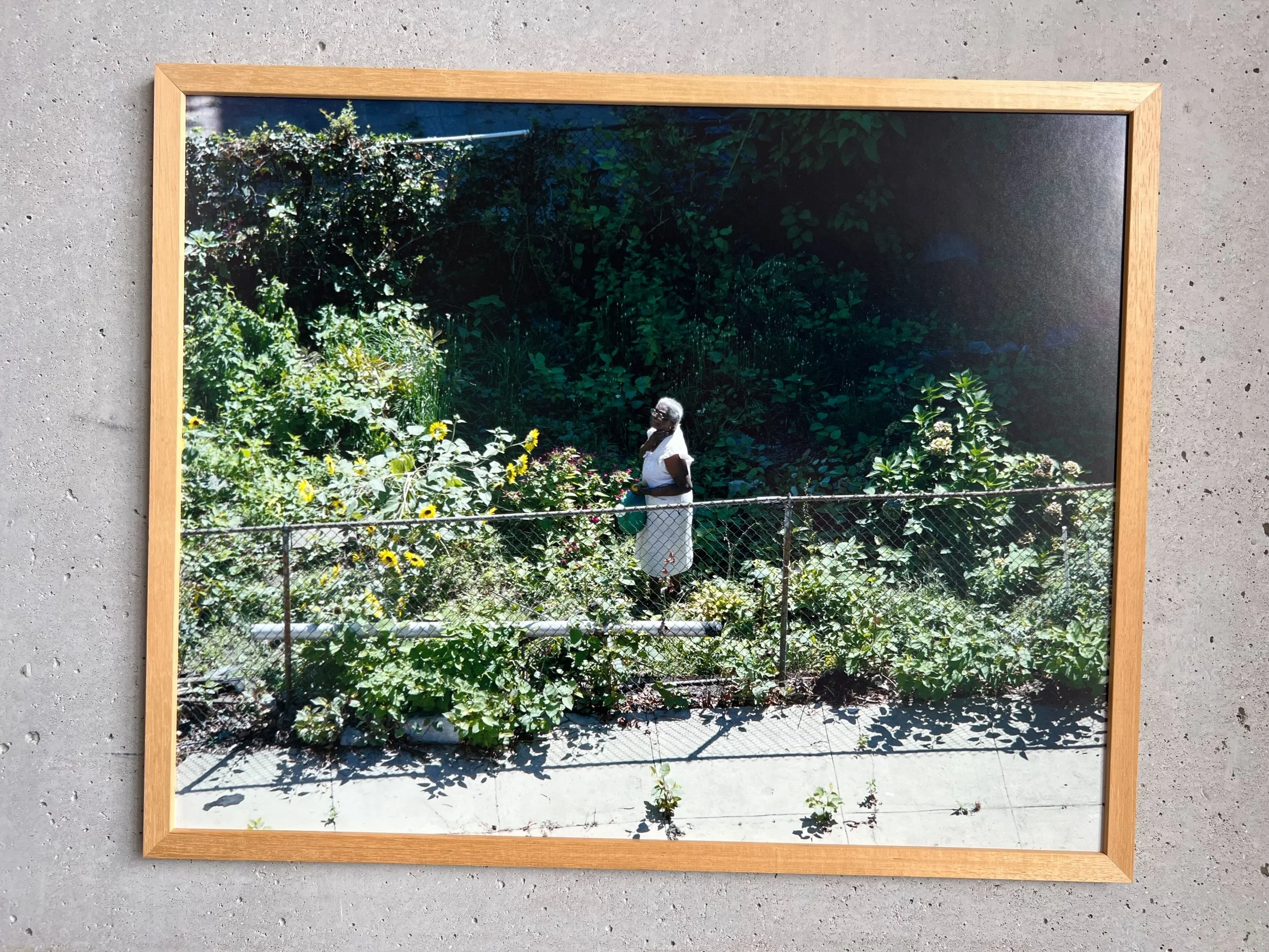 Places - 36 of 89.jpeg