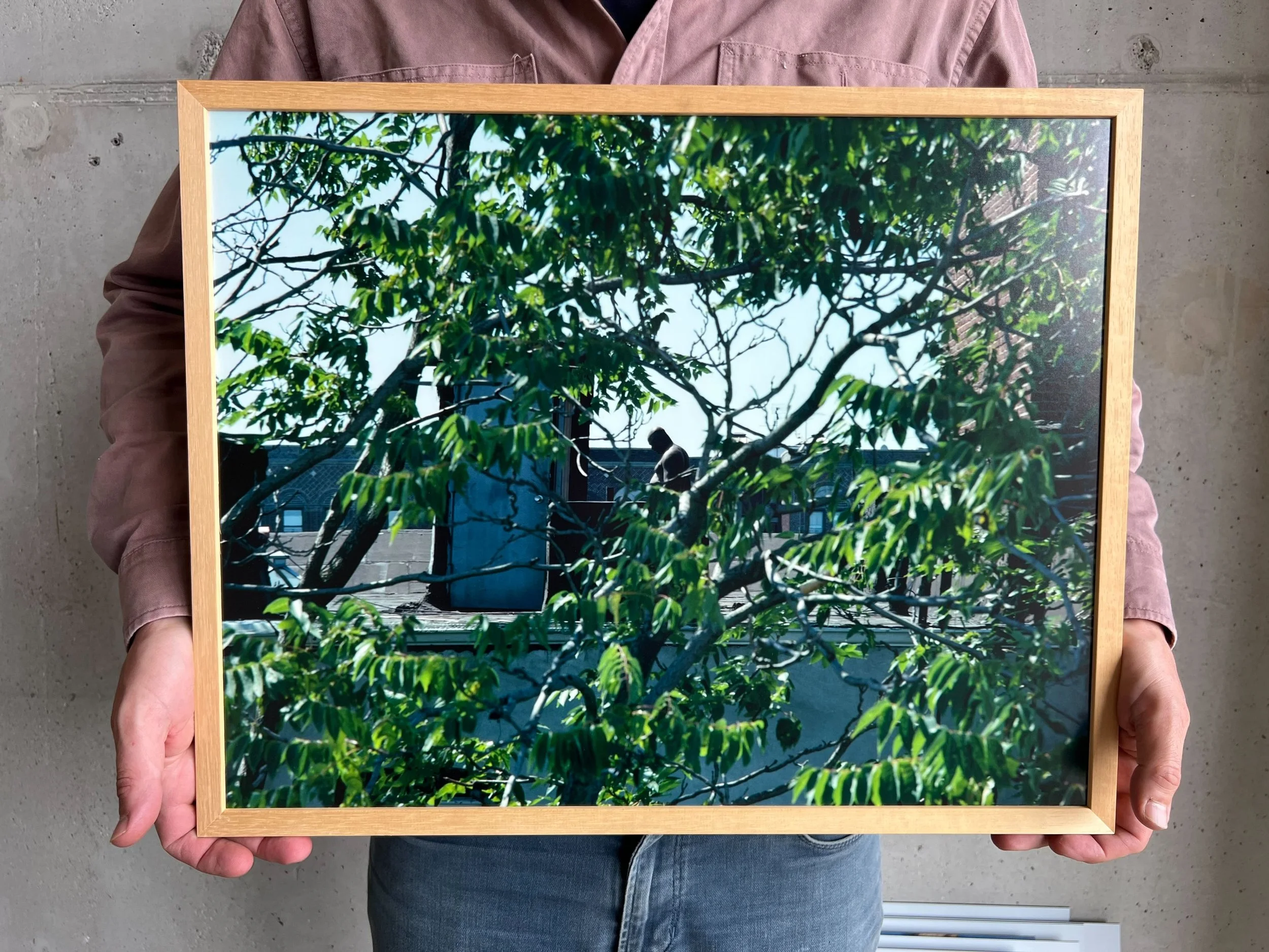 Places - 74 of 89.jpeg