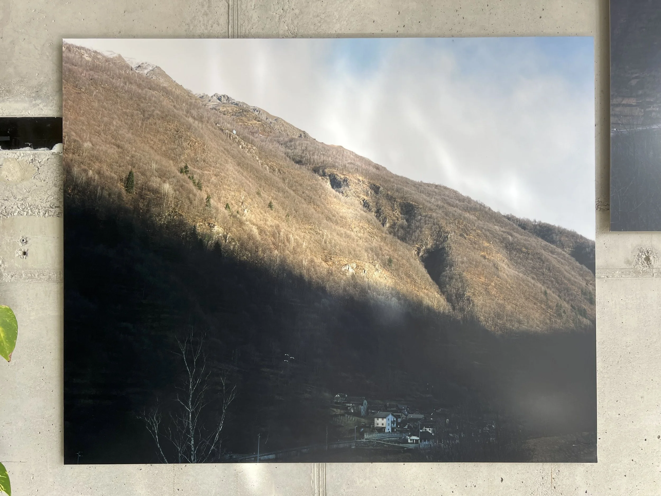 Library - 3 of 9.jpeg