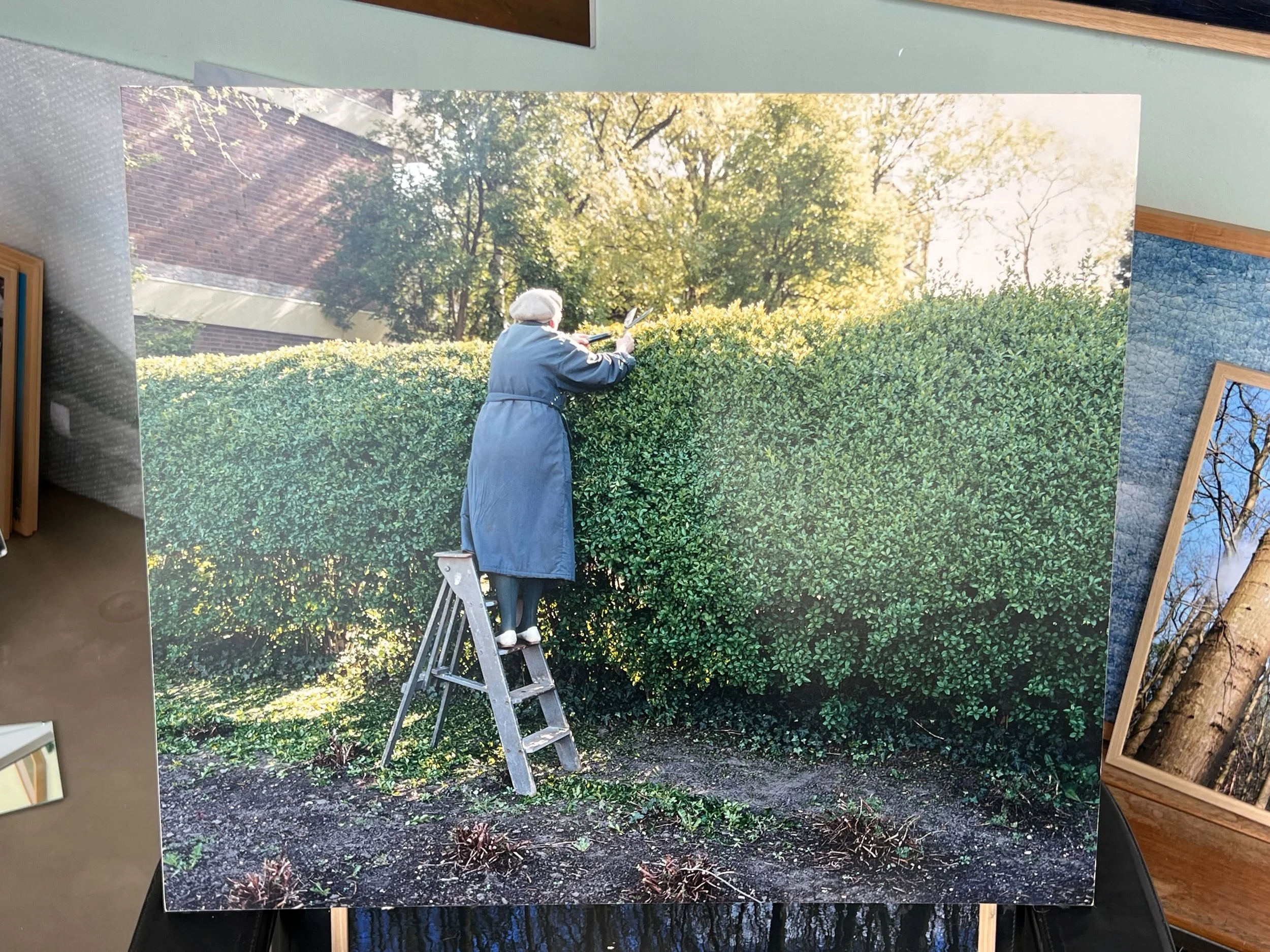 Library - 17 of 18.jpeg