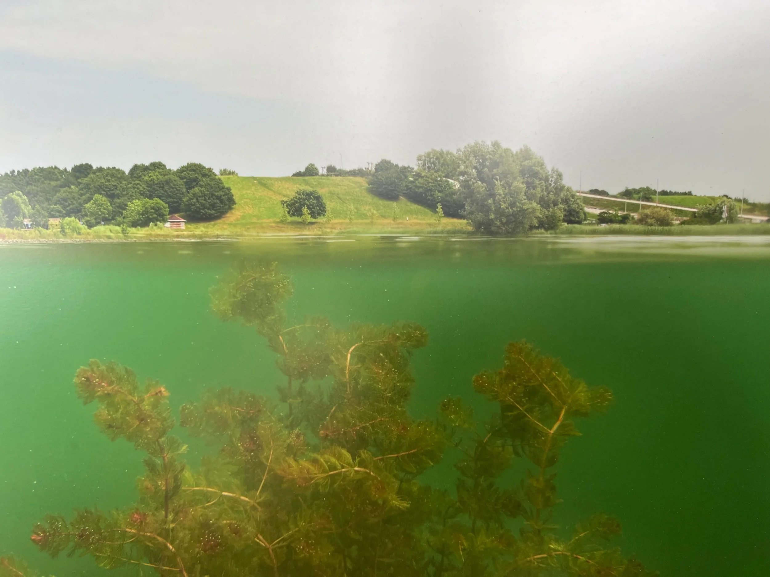 Library - 5 of 18.jpeg