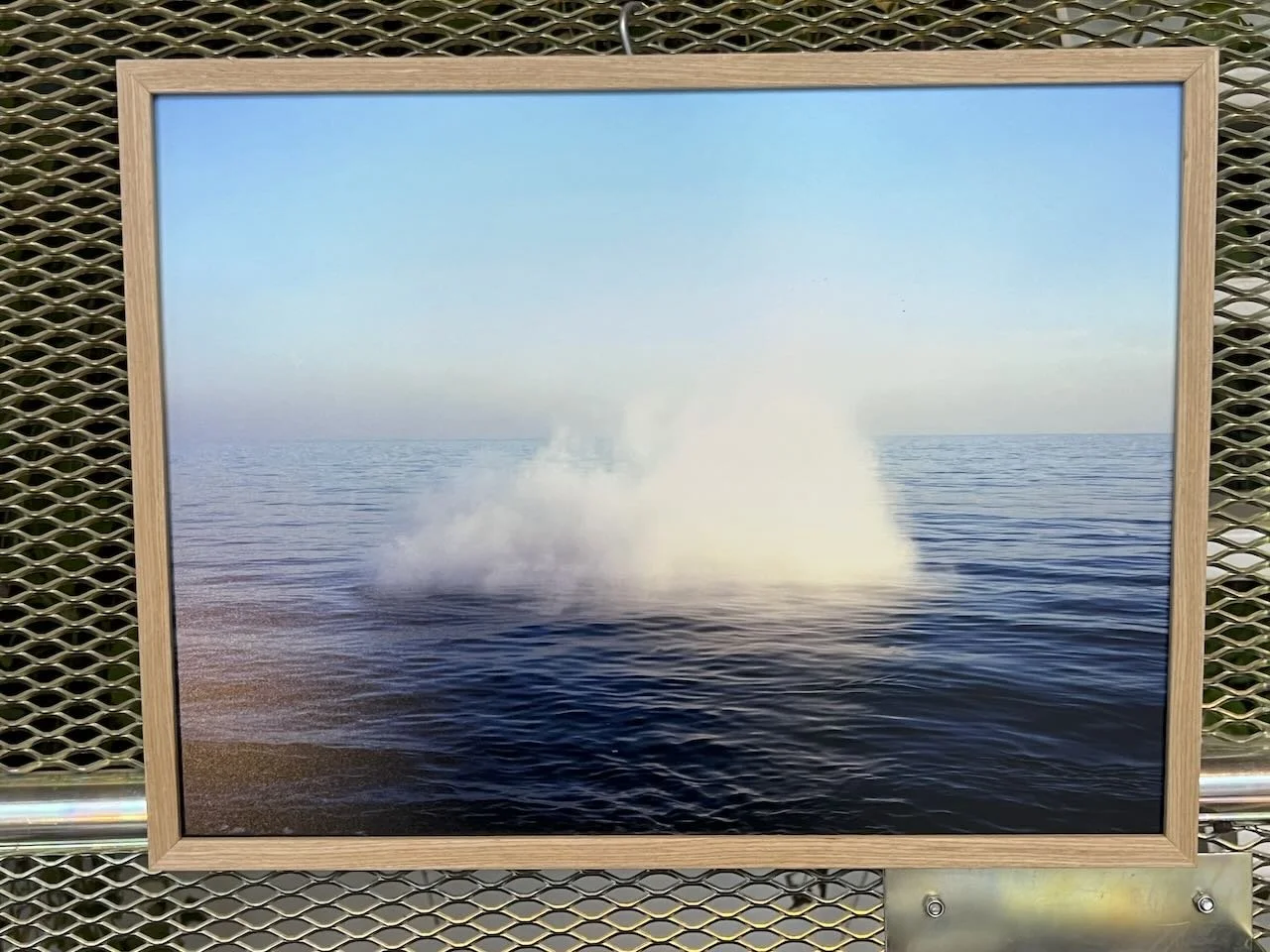 Library - 18 of 19.jpeg