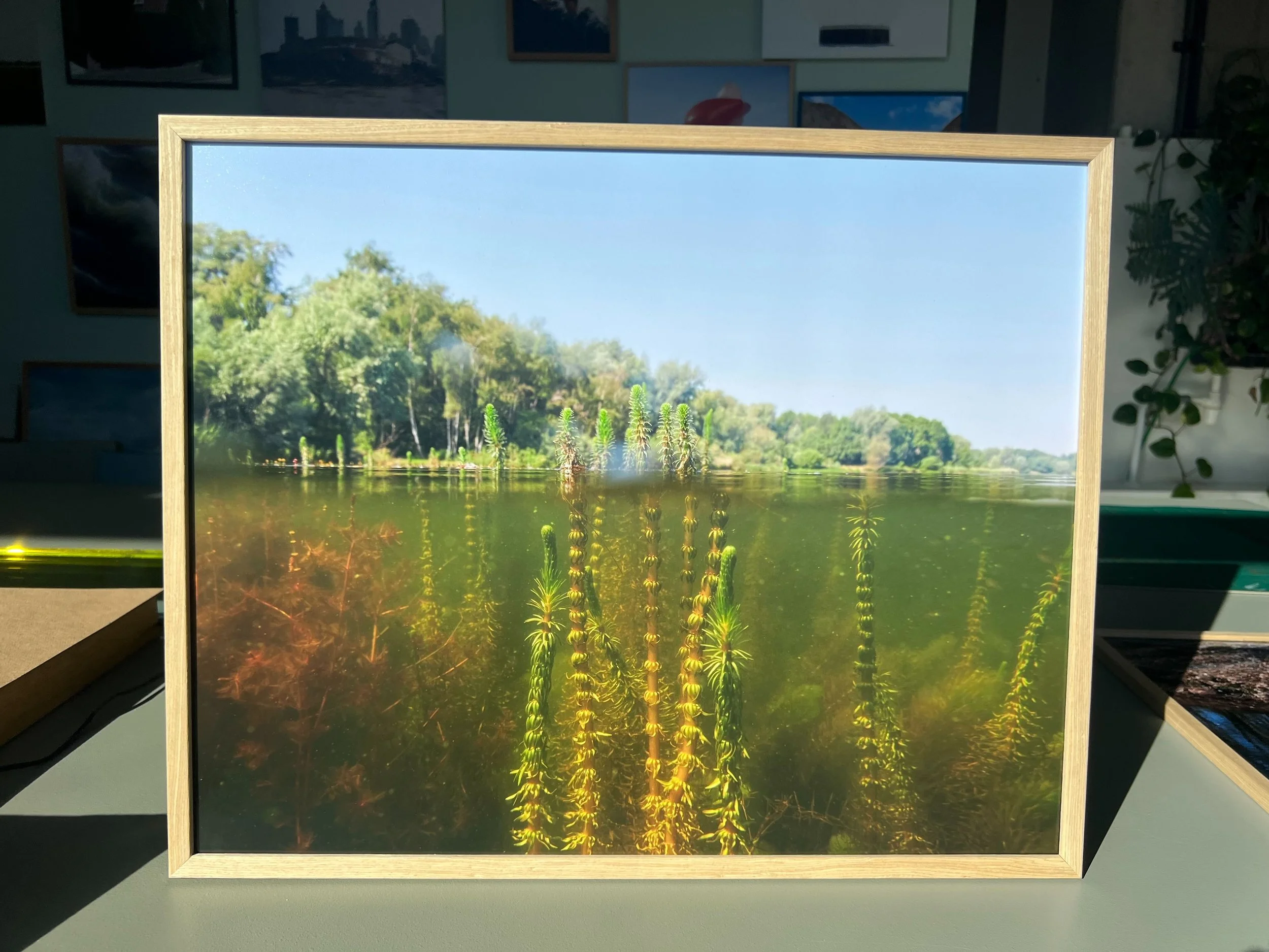 Library - 19 of 23.jpeg