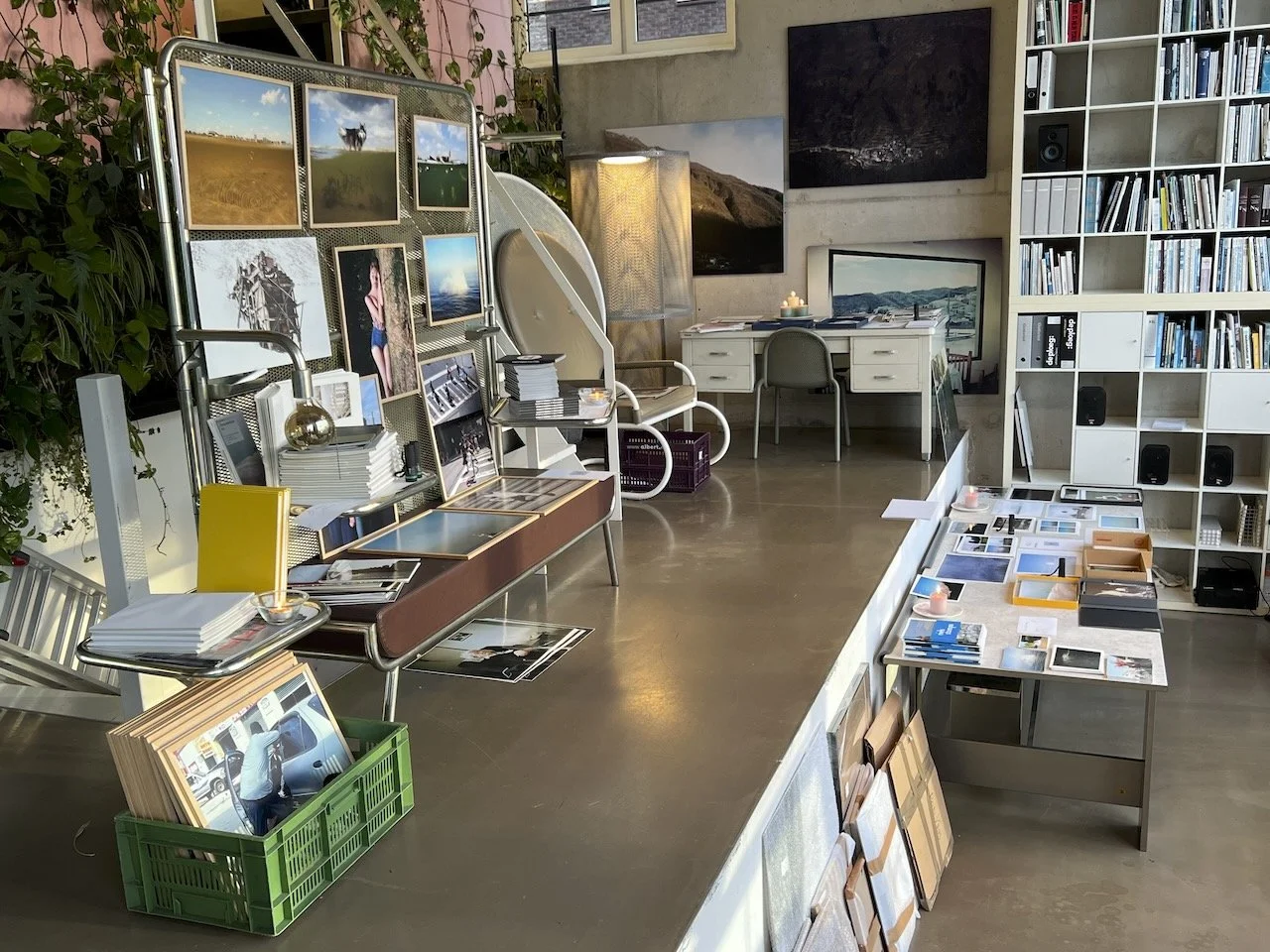 Library - 6 of 8.jpeg