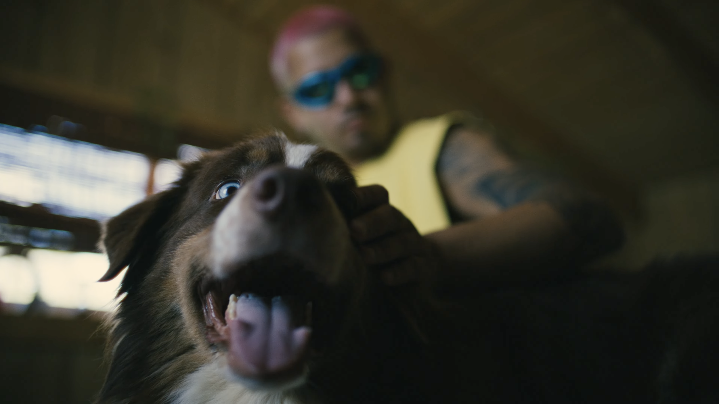 Chris Palace - XTI (Official Video)