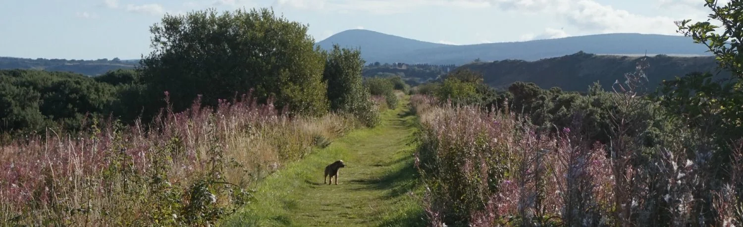 ticks-in-scotland-speyside-way-compressor.jpg