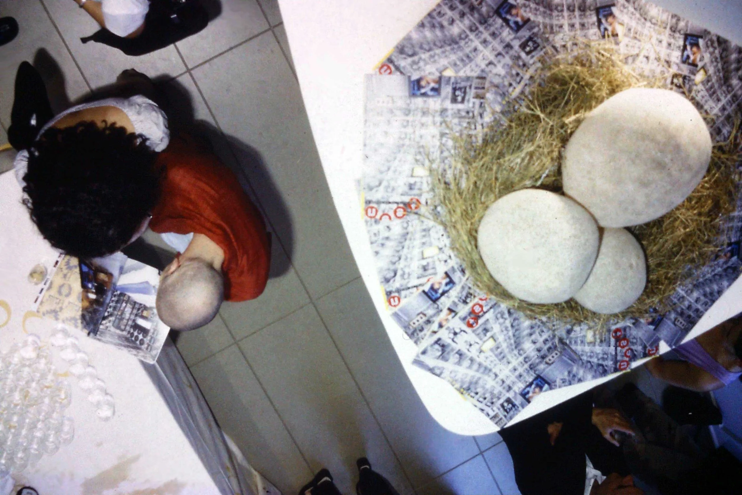 Nest 'egg' installation