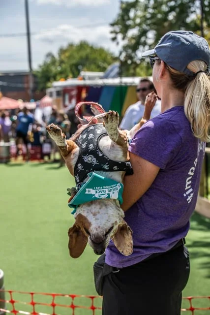 2019 Private School Pups Small Dog Rescue Race-11.jpg