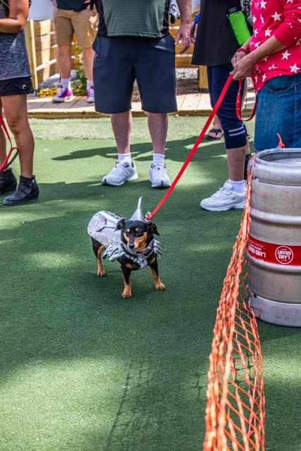 2019 Private School Pups Small Dog Rescue Race-19.jpg