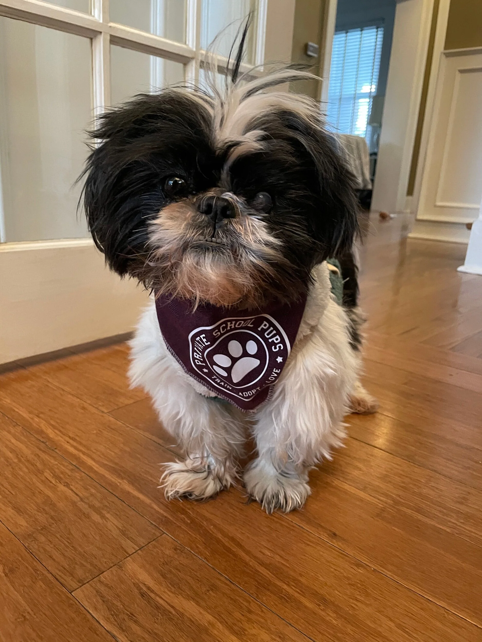 9DA016F8-C88C-4C77-81B1-EB46D0048DF2