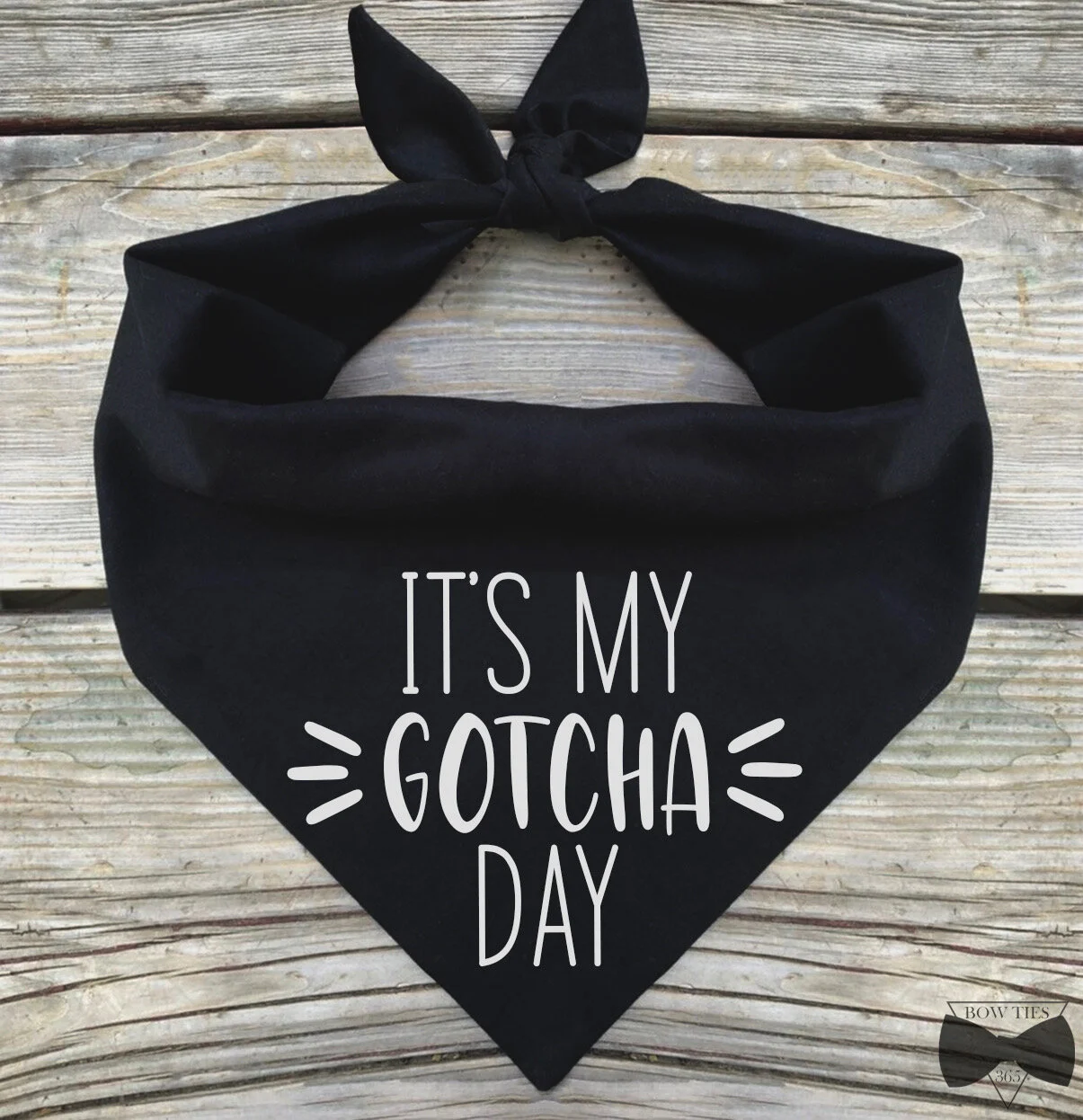 34F67CE3-3D4C-4C77-B56E-A8FE0EE75107