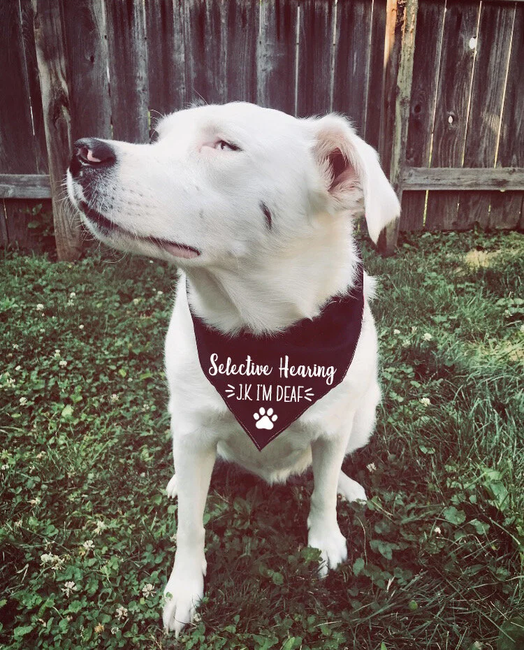 752FF69C-E628-4170-86D3-E58BDA5FB752