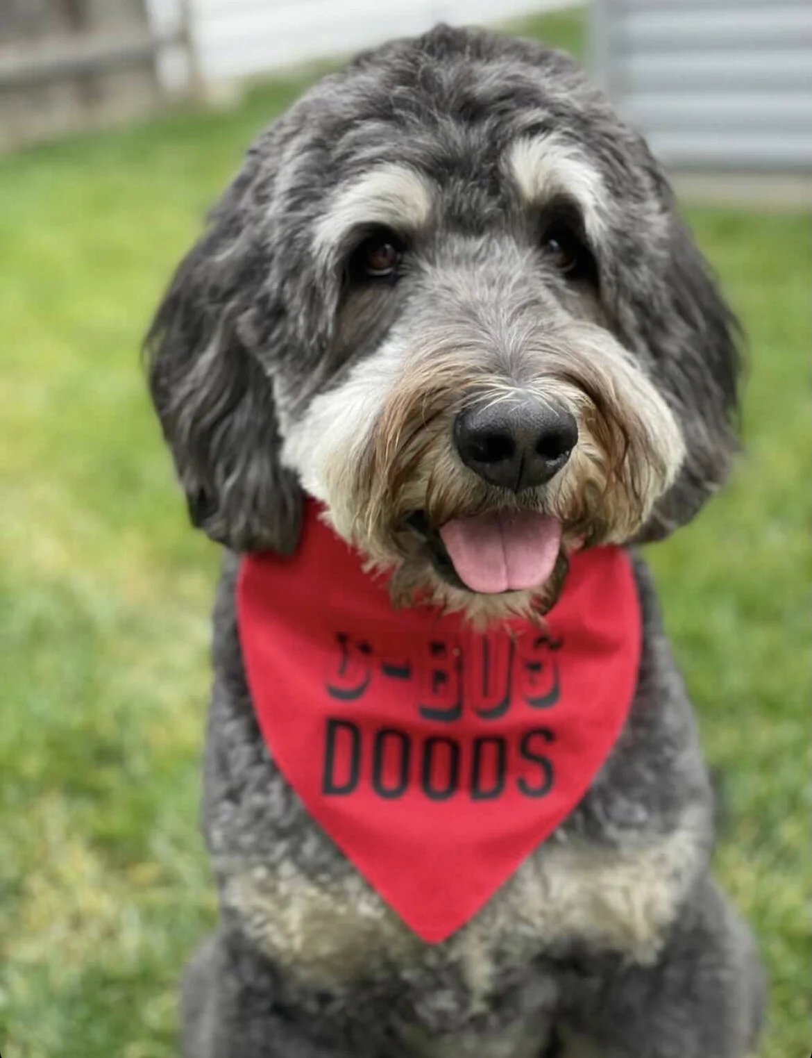 9B65B88F-23F2-4B1B-A8CB-EBFF974A5FDD