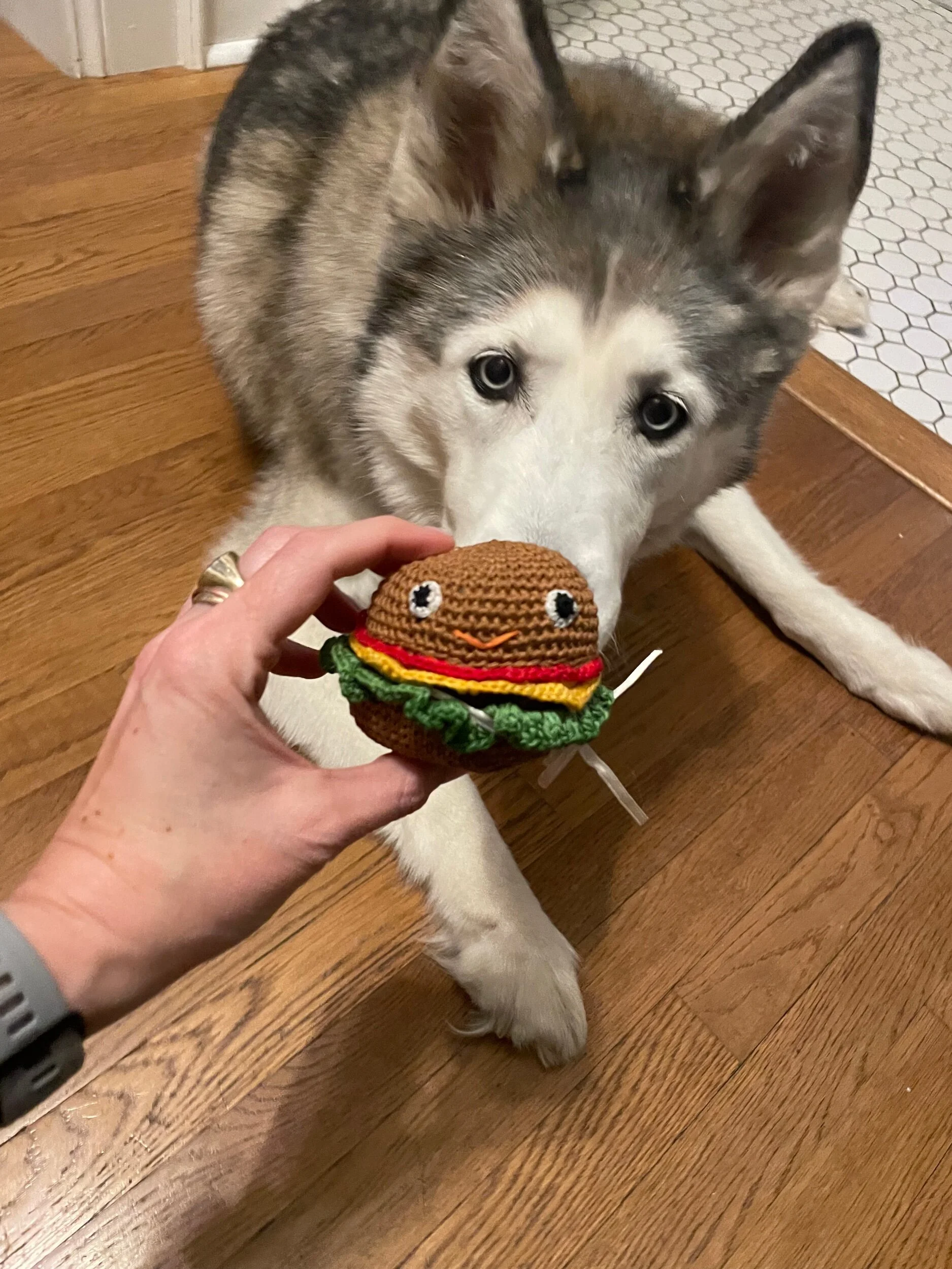 11D38ABB-8D05-476C-BD73-E4D9431989D7