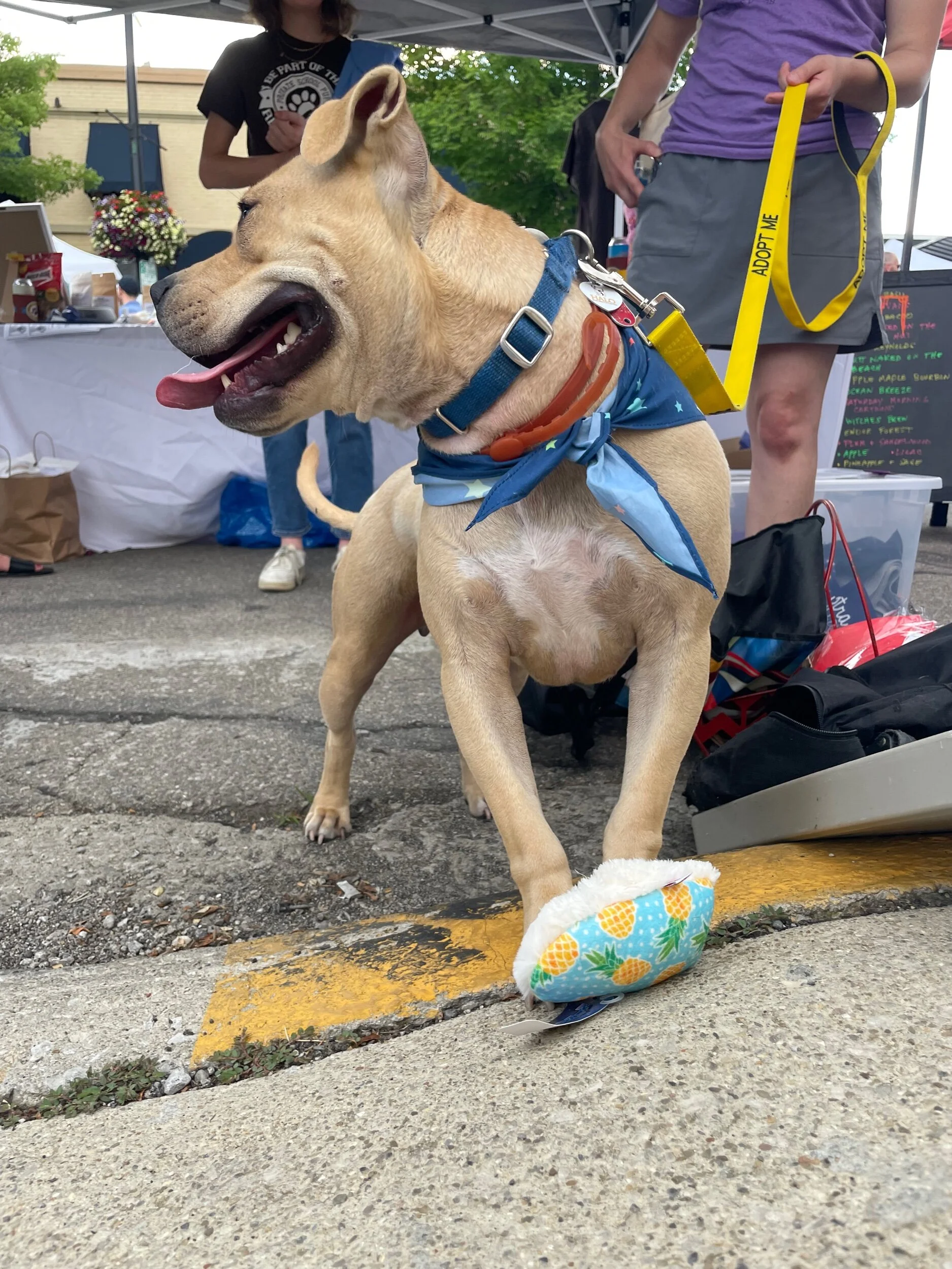 DFB96075-9D07-4D43-B0F7-F7FDB697C4F7