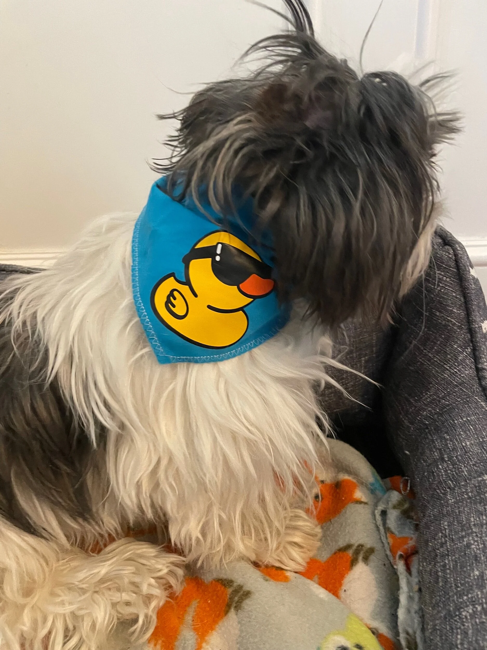 02F6A680-5CEB-4266-8D01-C7E3D9D3C8E6