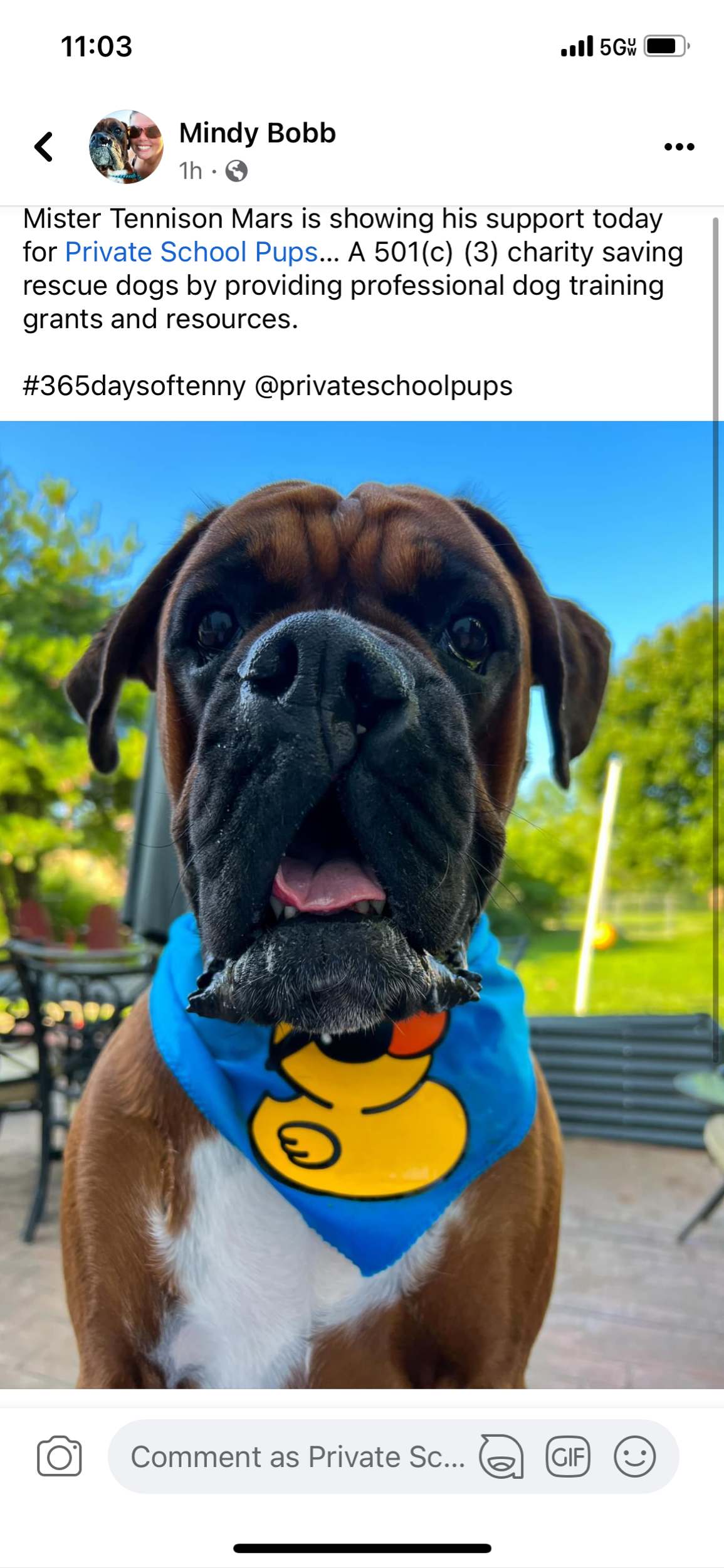 E4B98D7A-3355-4B6E-A69C-62492868B9DD