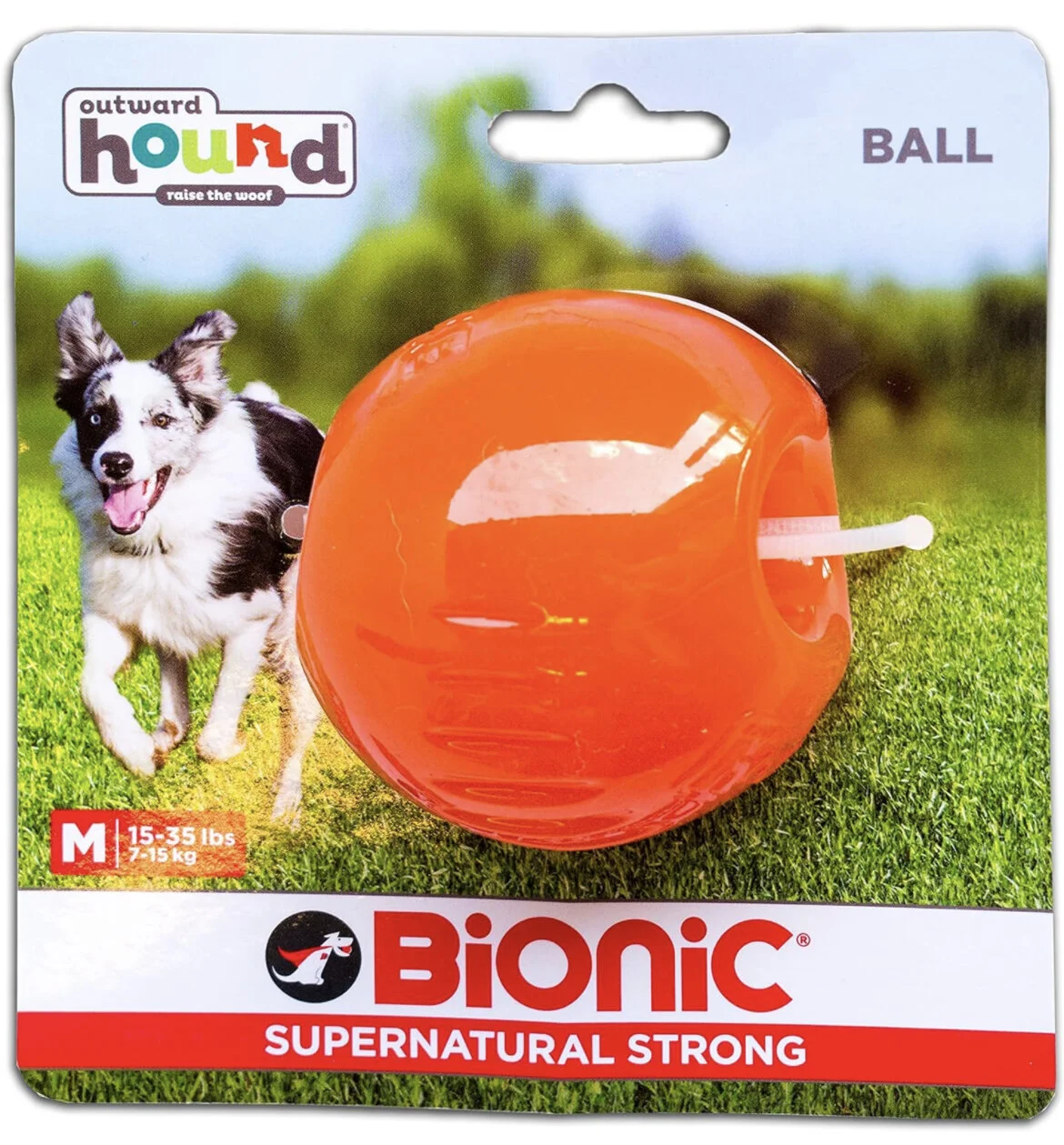 95EB0874-2364-430B-8131-0FB58E10D515