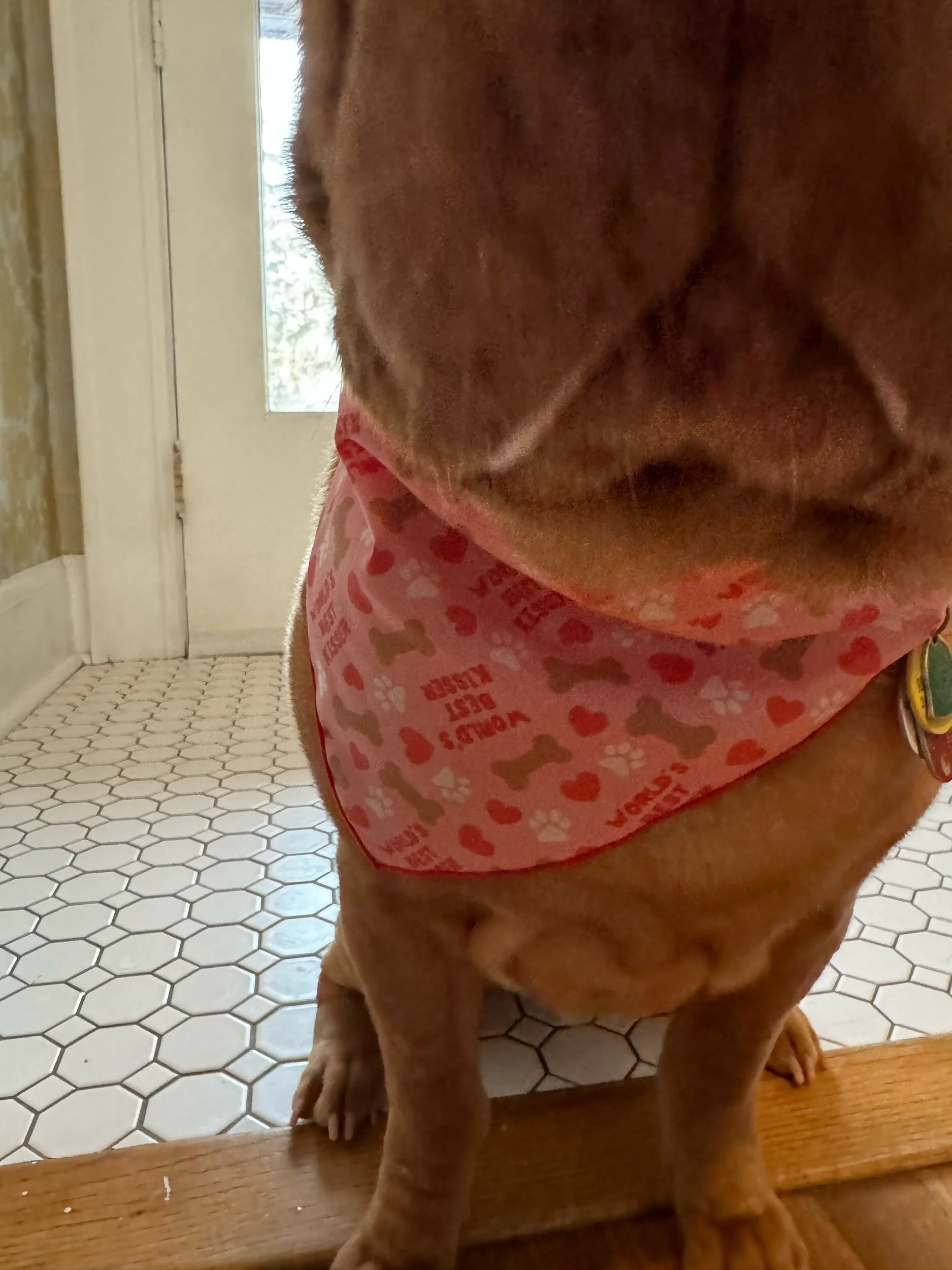 3B91C85F-1561-485F-BAF2-AA6ACB24AE44