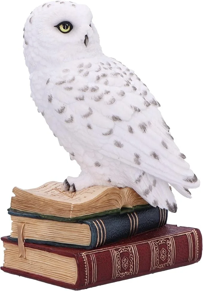 71SESuHEh+L._AC_SX679_.jpg
