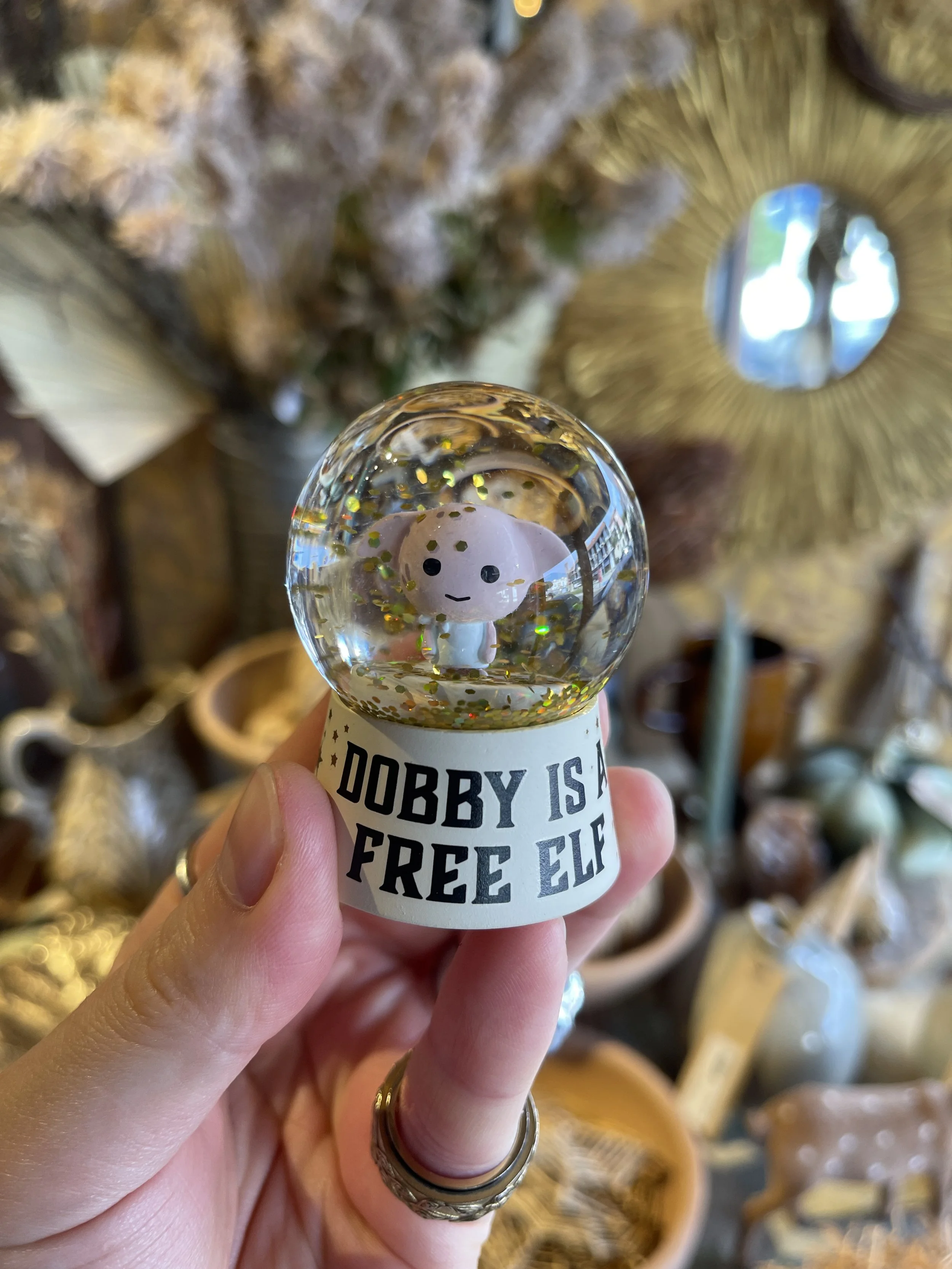 Photo 18-10-2025, 13 57 30.jpg