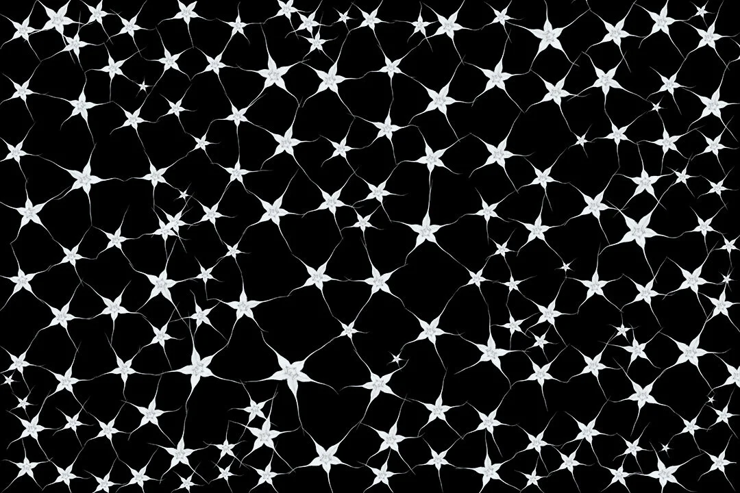 Synaptic seeds I