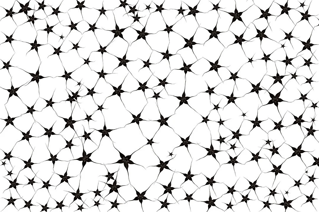 Synaptic seeds II