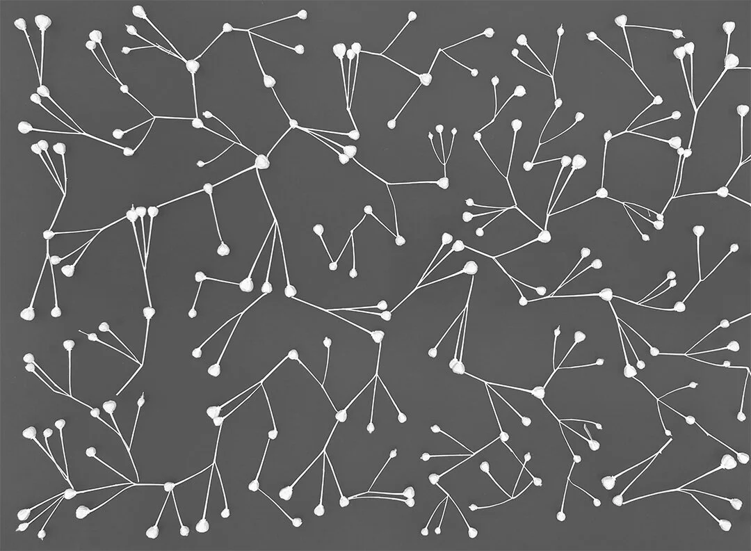 Constellation I