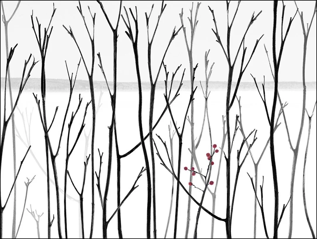 Winter lakeshore